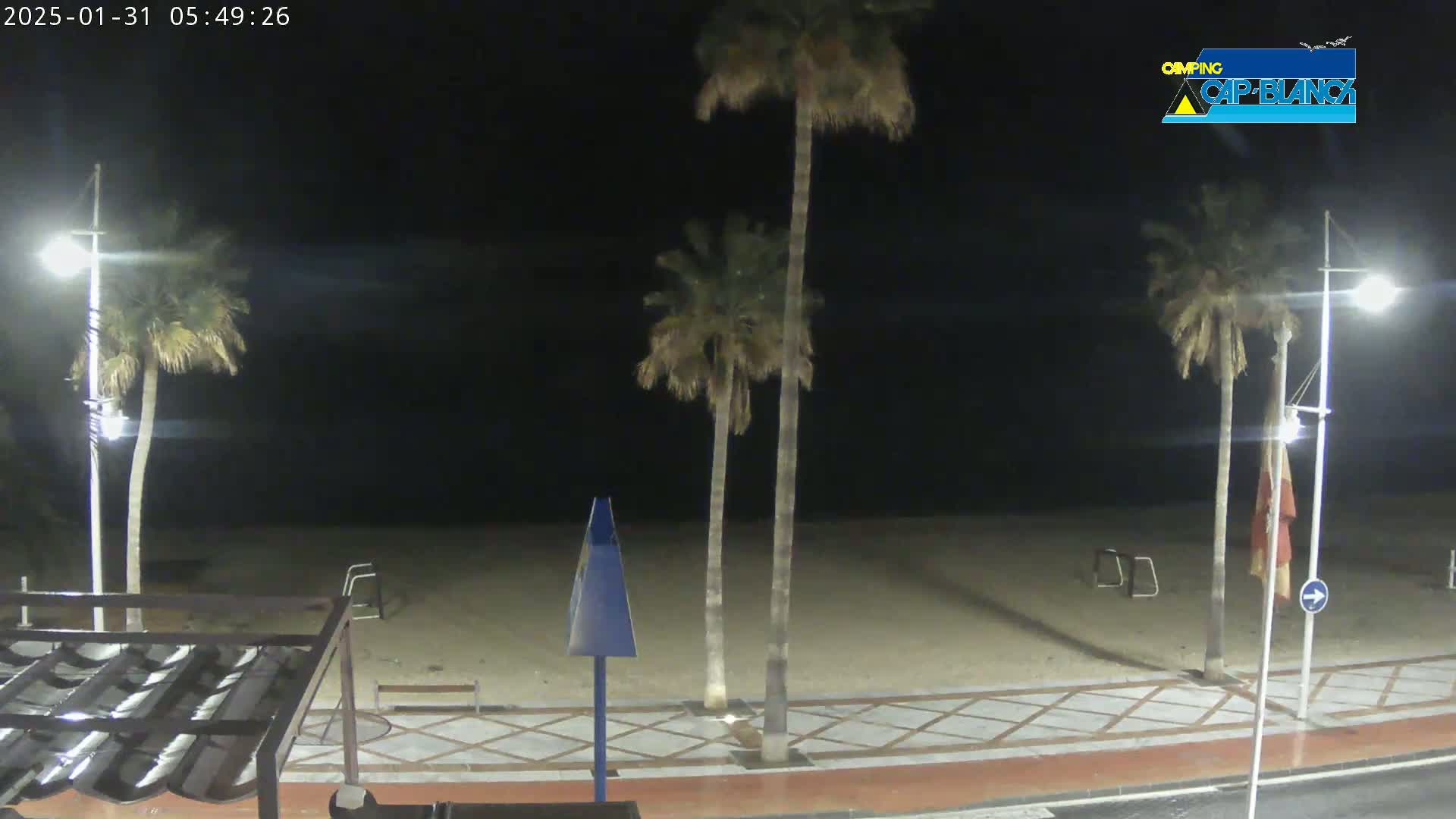 A nighttime view of a beach with palm trees lining a paved walkway next to a sandy shore.
