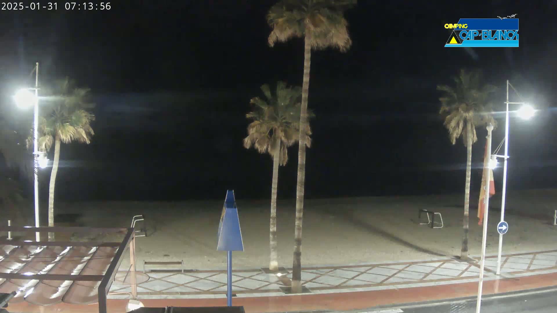 At night, several palm trees stand along a paved beachfront walkway next to a sandy beach under a dark sky.