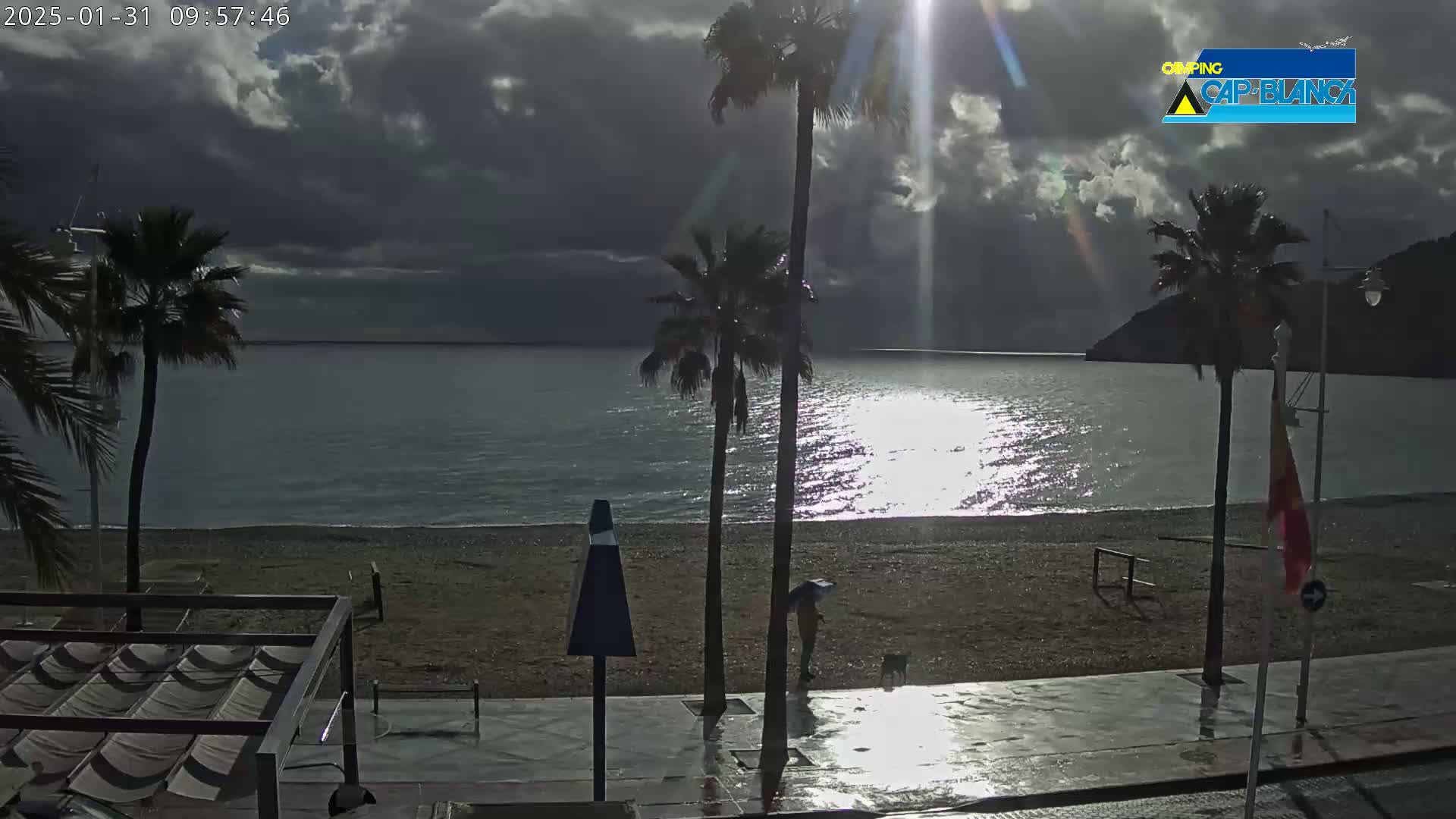A beach scene with palm trees under a partly cloudy sky, showing a person with an umbrella walking on a wet promenade next to a calm sea.