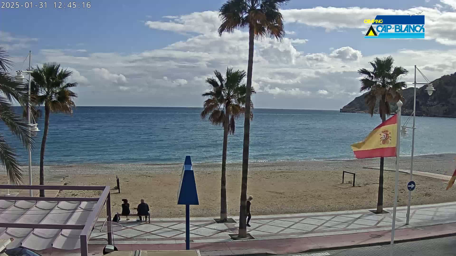 A sandy beach with palm trees lines a paved walkway next to a calm blue sea under a partly cloudy sky.