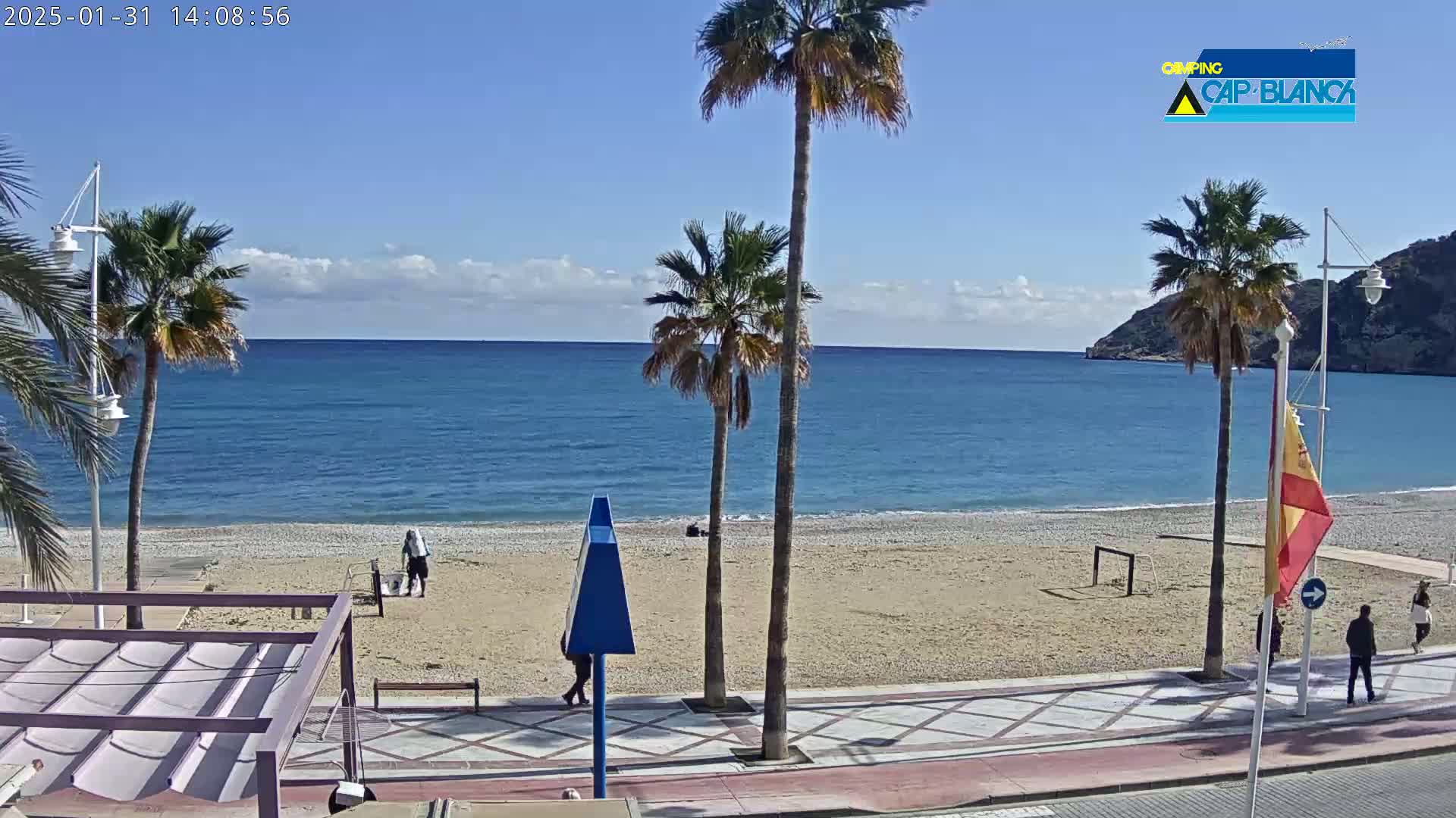 A sandy beach with palm trees and a few people is seen next to a calm blue ocean under a mostly sunny sky.