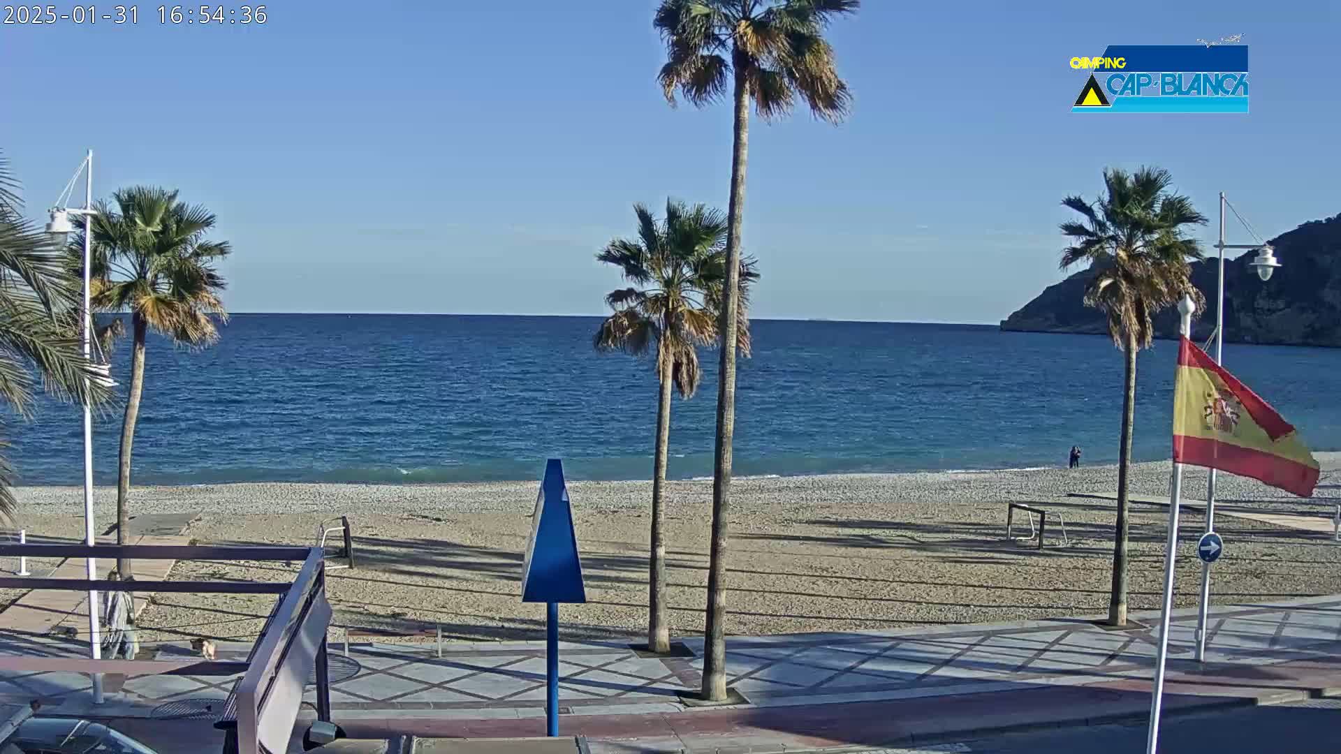 A sandy beach with palm trees and a calm blue sea under a clear blue sky.