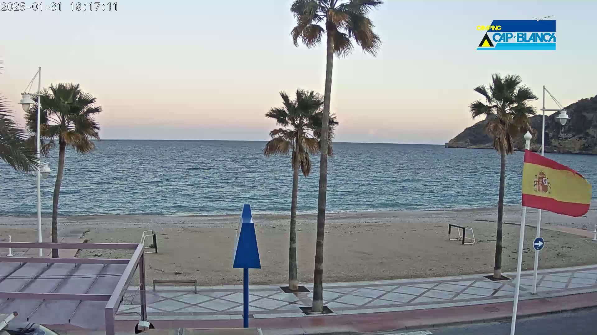 A sandy beach with palm trees and a calm sea under a twilight sky.