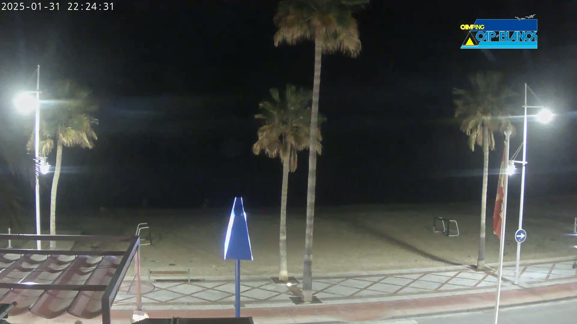 A nighttime view of a sandy beach area with palm trees, streetlights, and a tiled walkway.