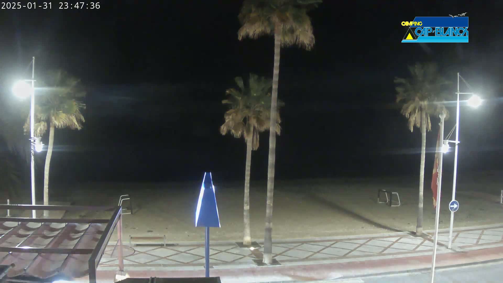A nighttime view of a sandy beach with palm trees, streetlights, and a paved walkway.