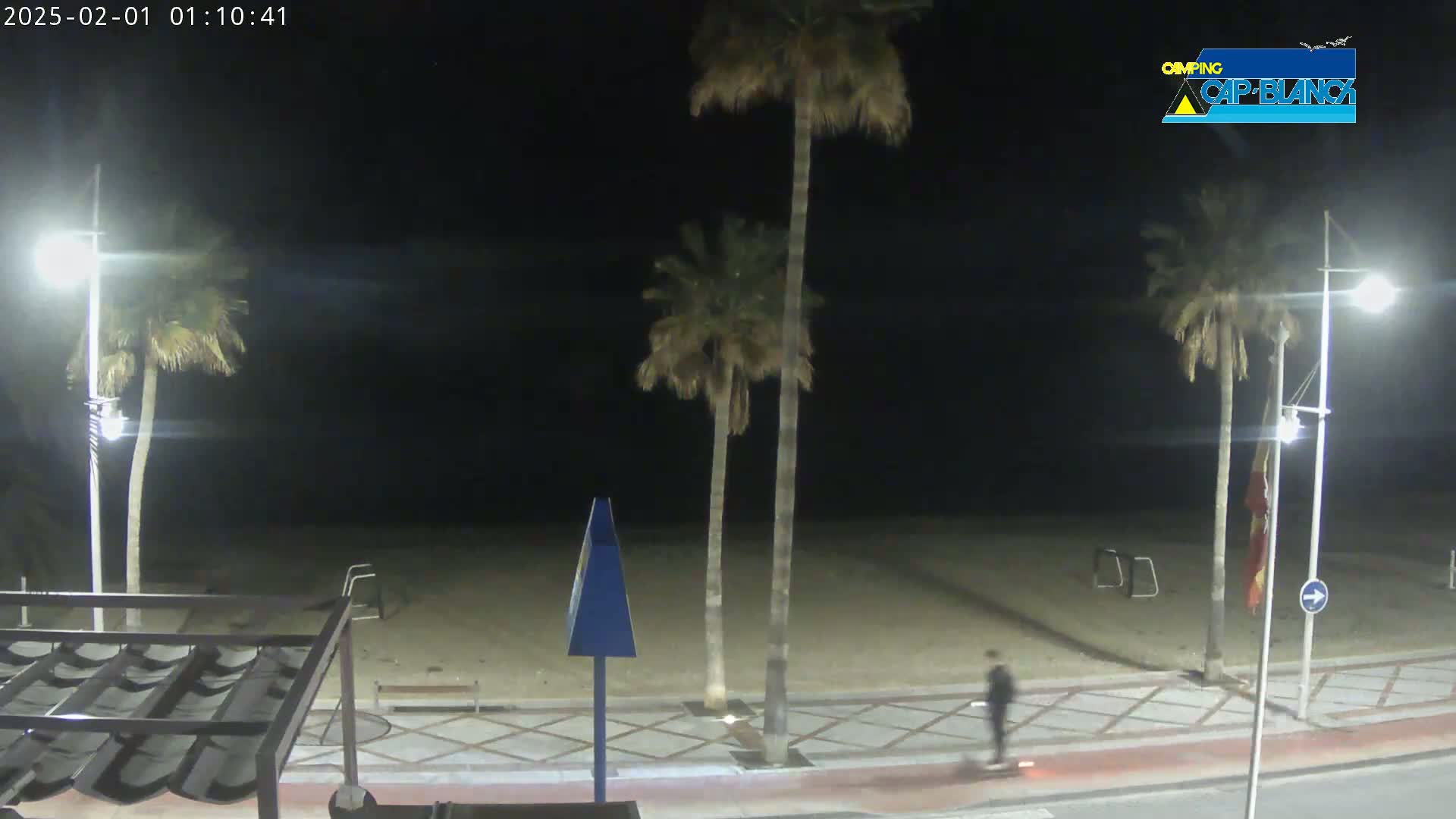 A nighttime view of a sandy beach, palm trees, and a person on a skateboard along a paved walkway, illuminated by streetlights.
