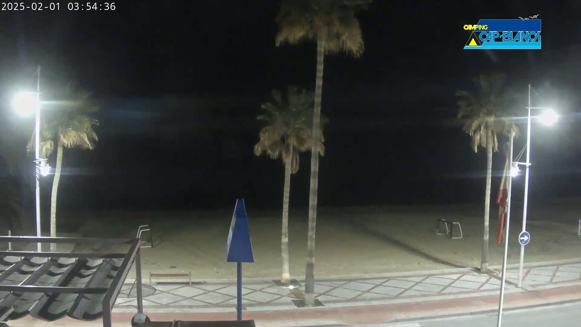 A nighttime view of a sandy beach with palm trees, streetlights, and a paved walkway.