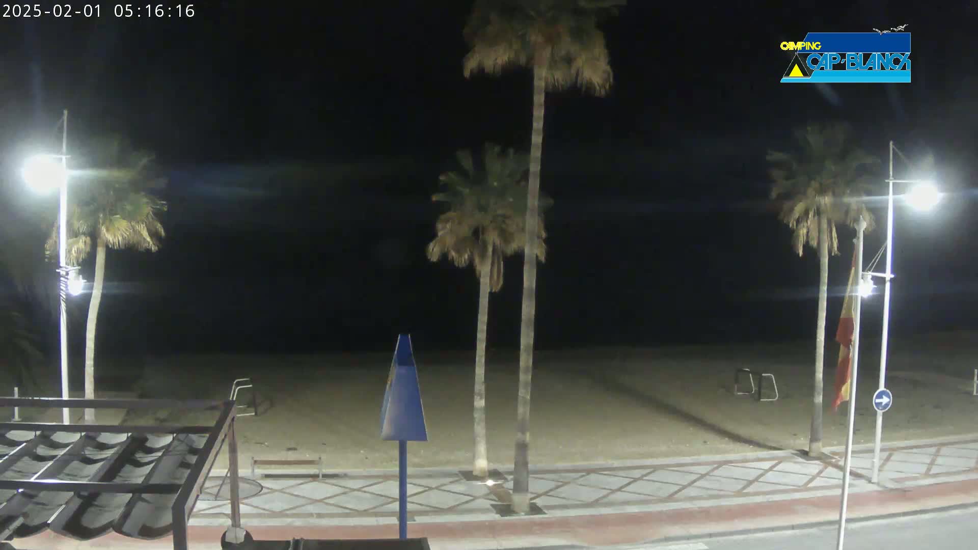 A nighttime view of a sandy beach bordered by a paved walkway, lined with palm trees and streetlights.