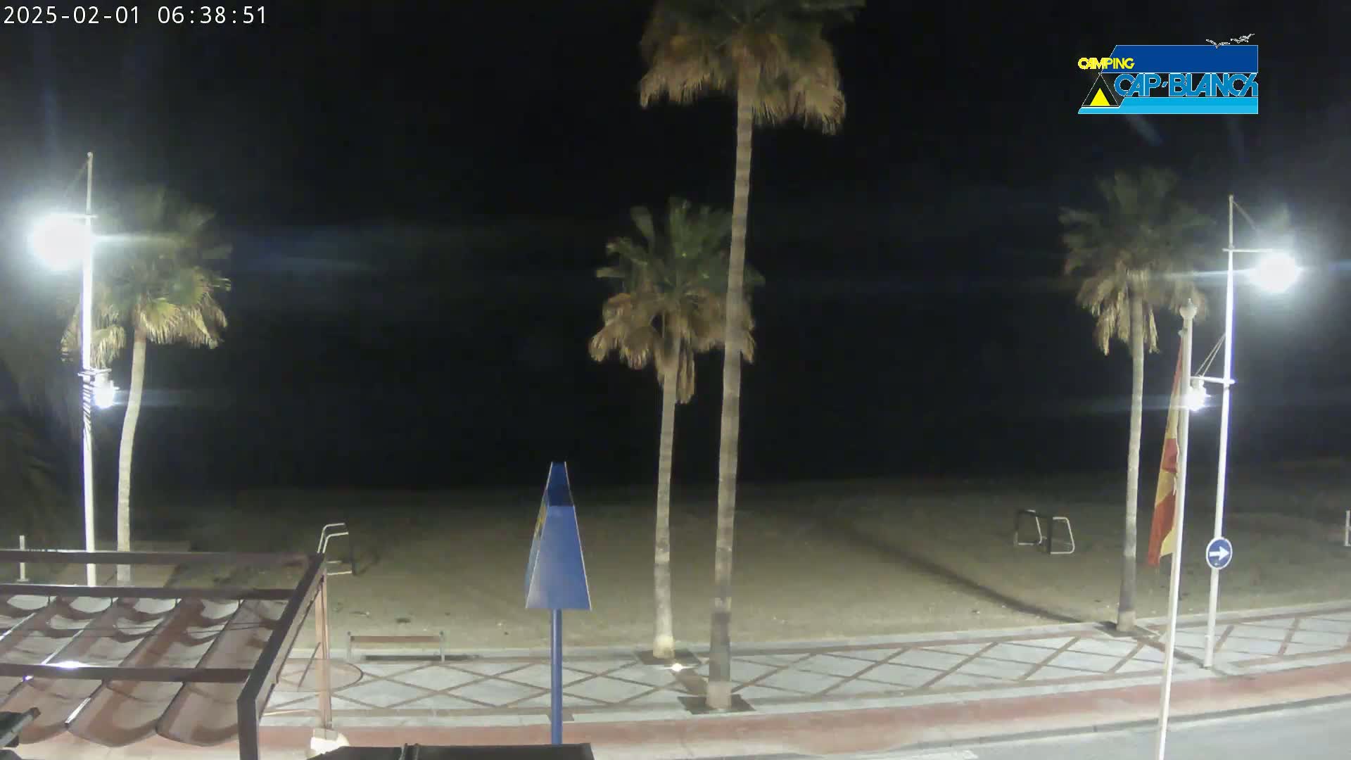 A nighttime beach scene shows palm trees lining a paved walkway next to a sandy beach, illuminated by streetlights.