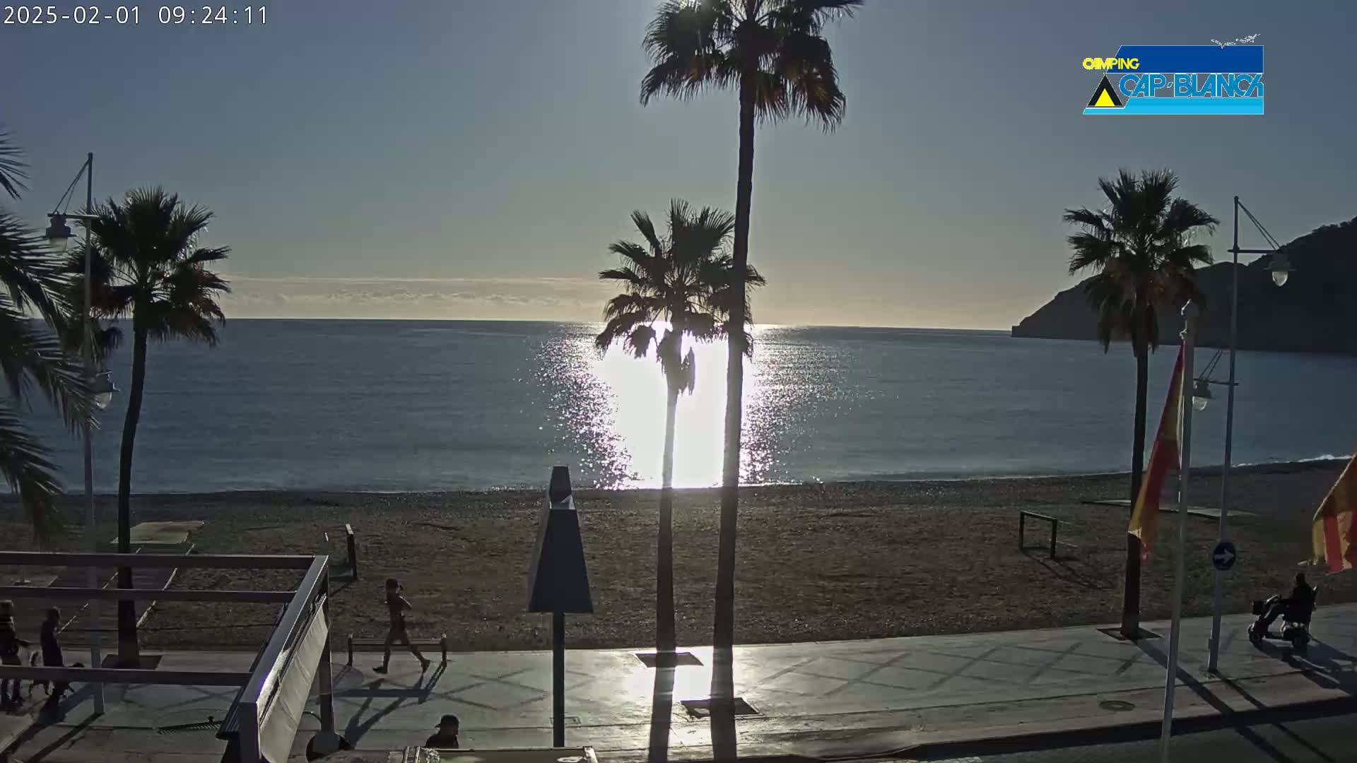 A sunny morning shows a calm ocean reflecting sunlight, a sandy beach, palm trees lining a paved walkway, and a few people strolling along the shore.