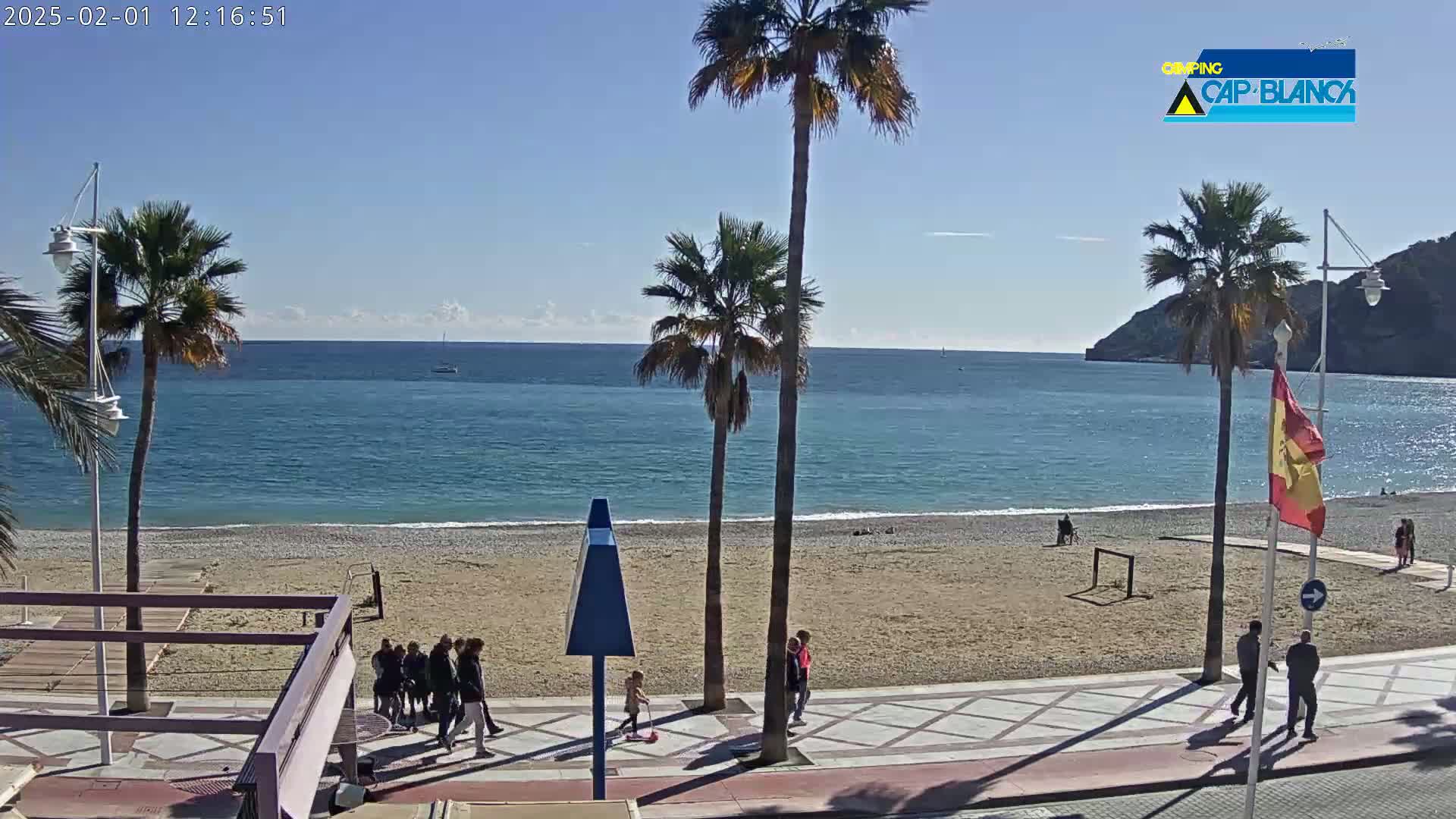 A sandy beach with palm trees and several people walking along a paved walkway next to a calm, blue ocean under a clear sky.