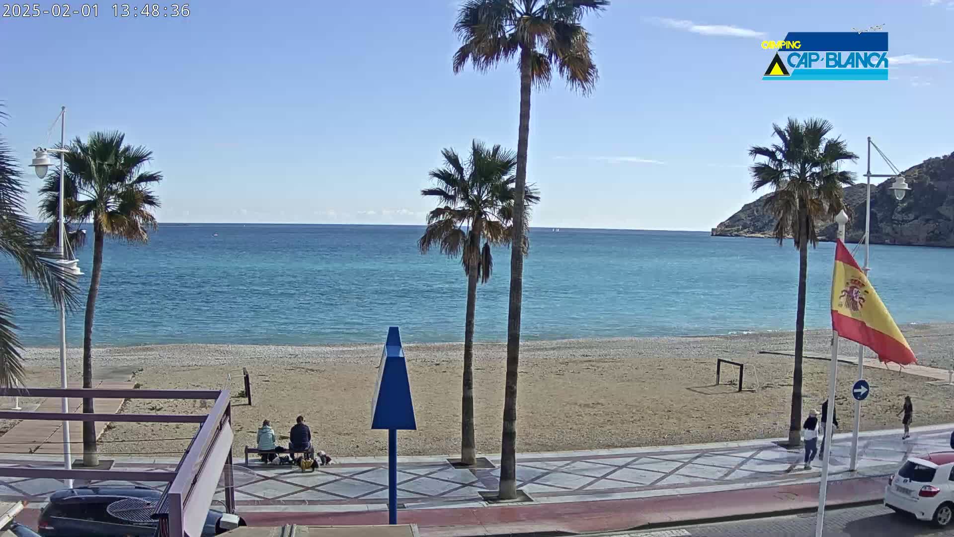 A sunny day at a beach with palm trees, a sandy shoreline, and people walking along a paved walkway.