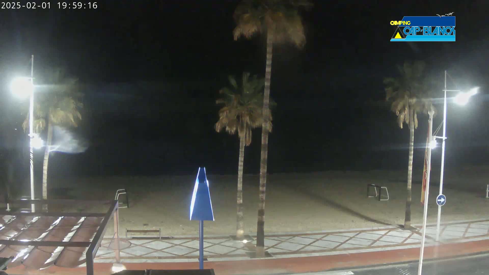 A nighttime beach scene shows palm trees swaying in the wind near a paved walkway and a sandy beach.