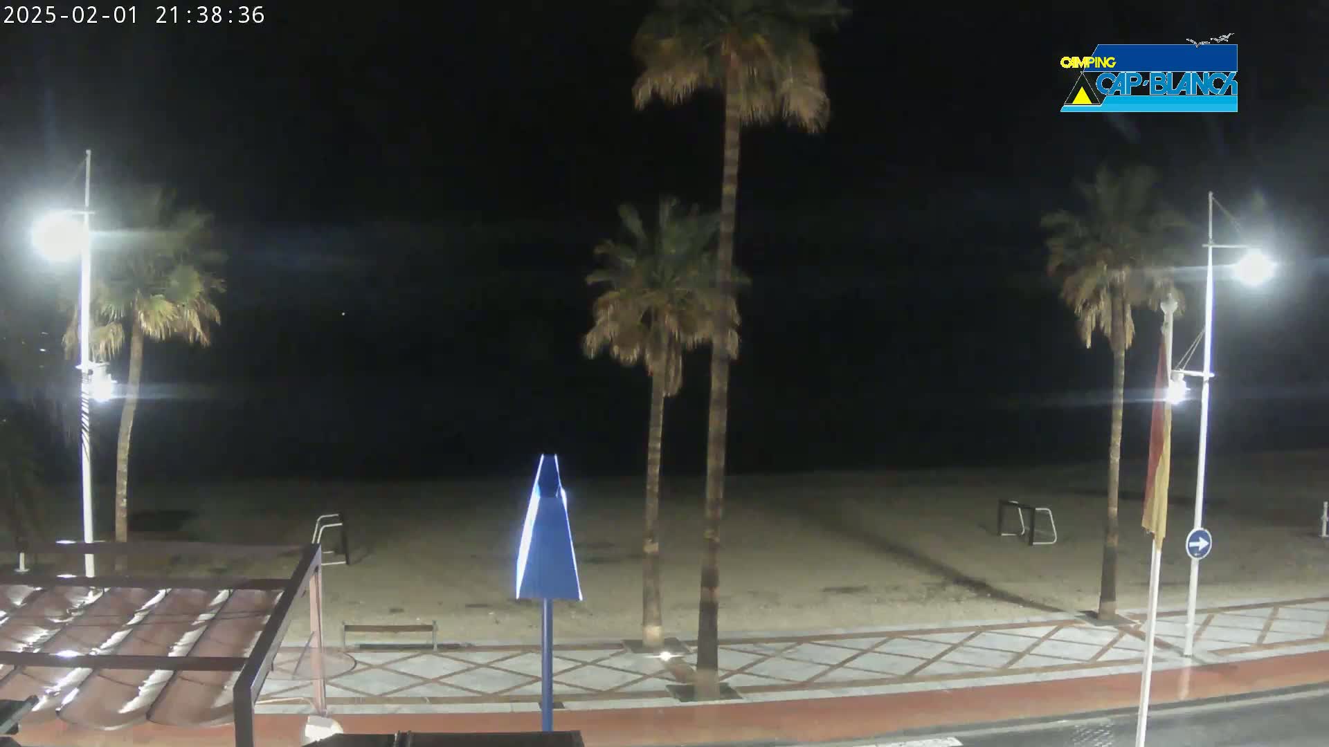 A nighttime view of a sandy beach, palm trees, streetlights, and a paved walkway.