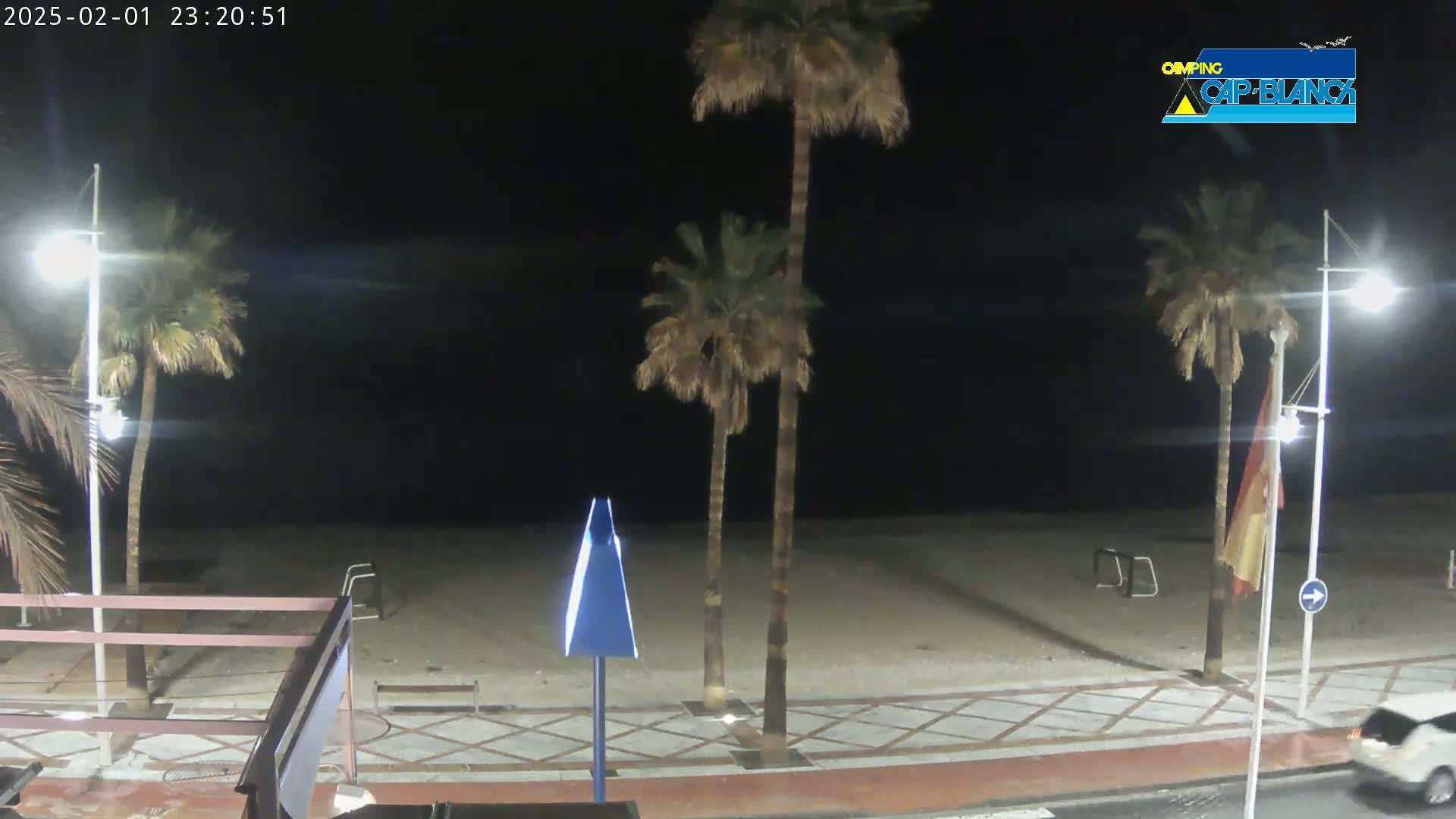 A nighttime view of a beach with palm trees lining a paved walkway, under a dark sky.