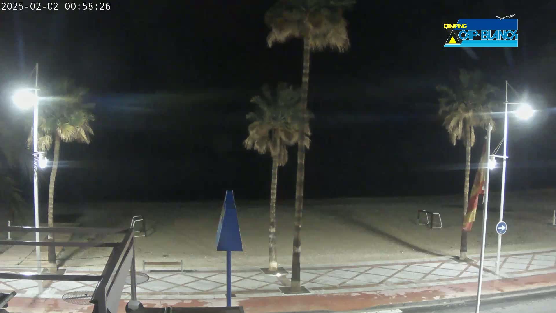 A nighttime view of a sandy beach with palm trees, streetlights, and a paved walkway.