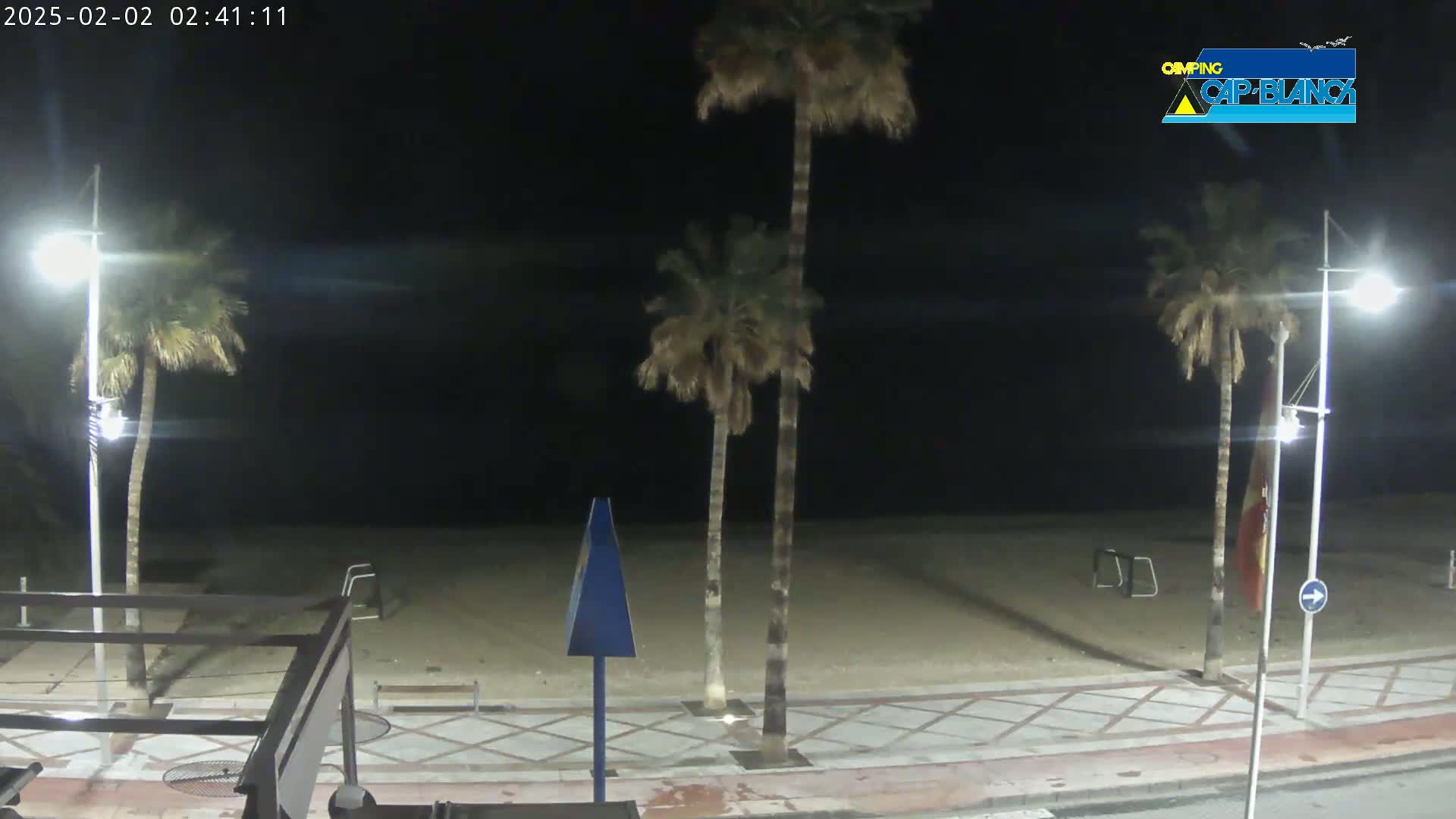 A nighttime beach scene shows palm trees lining a paved walkway next to a sandy beach under a dark sky.