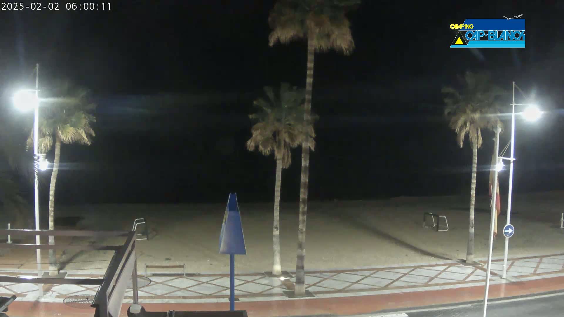 A nighttime view of a sandy beach with palm trees, streetlights, and a paved walkway.