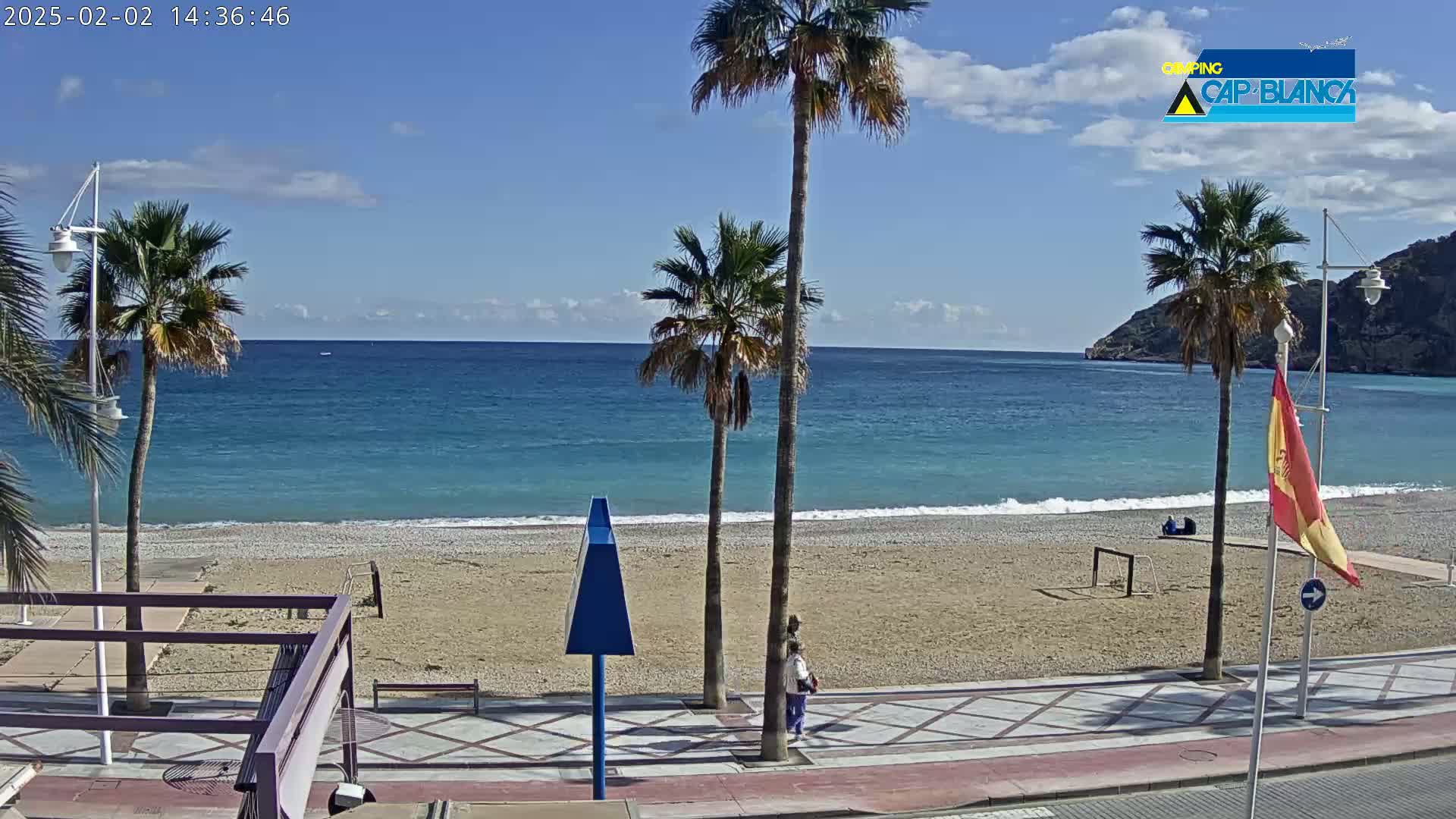 A sandy beach with palm trees and a calm, blue ocean under a mostly sunny sky.