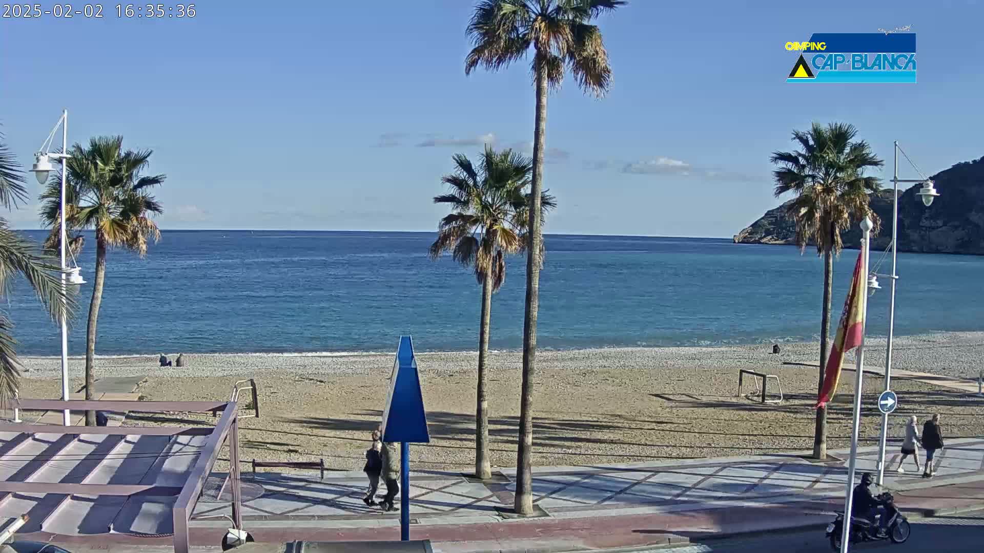 A sunny day at a beach with palm trees, people walking along a paved walkway, and a person on a motor scooter.