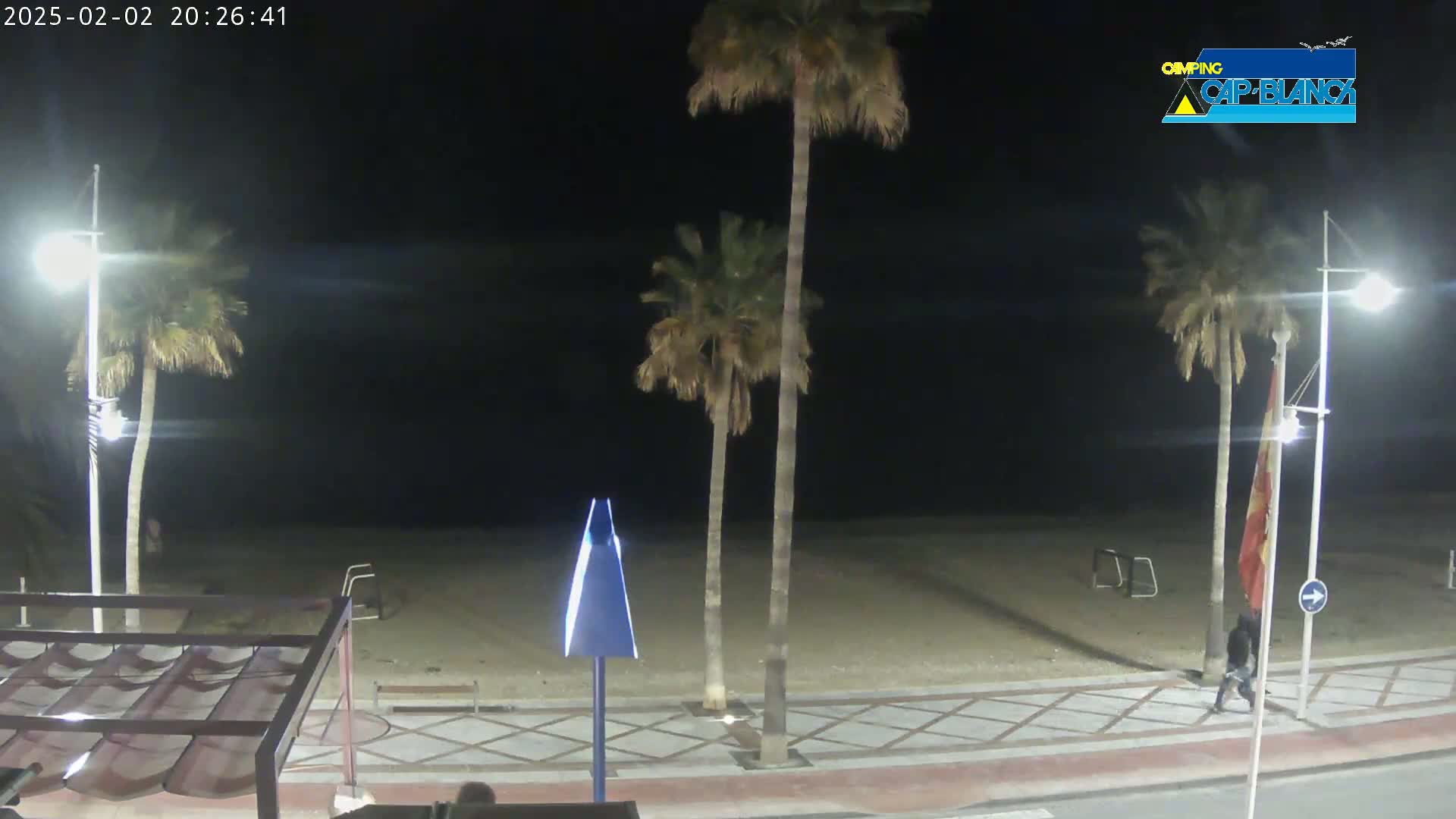 A nighttime view of a sandy beach with palm trees, streetlights, and a paved walkway, under a dark, clear sky.