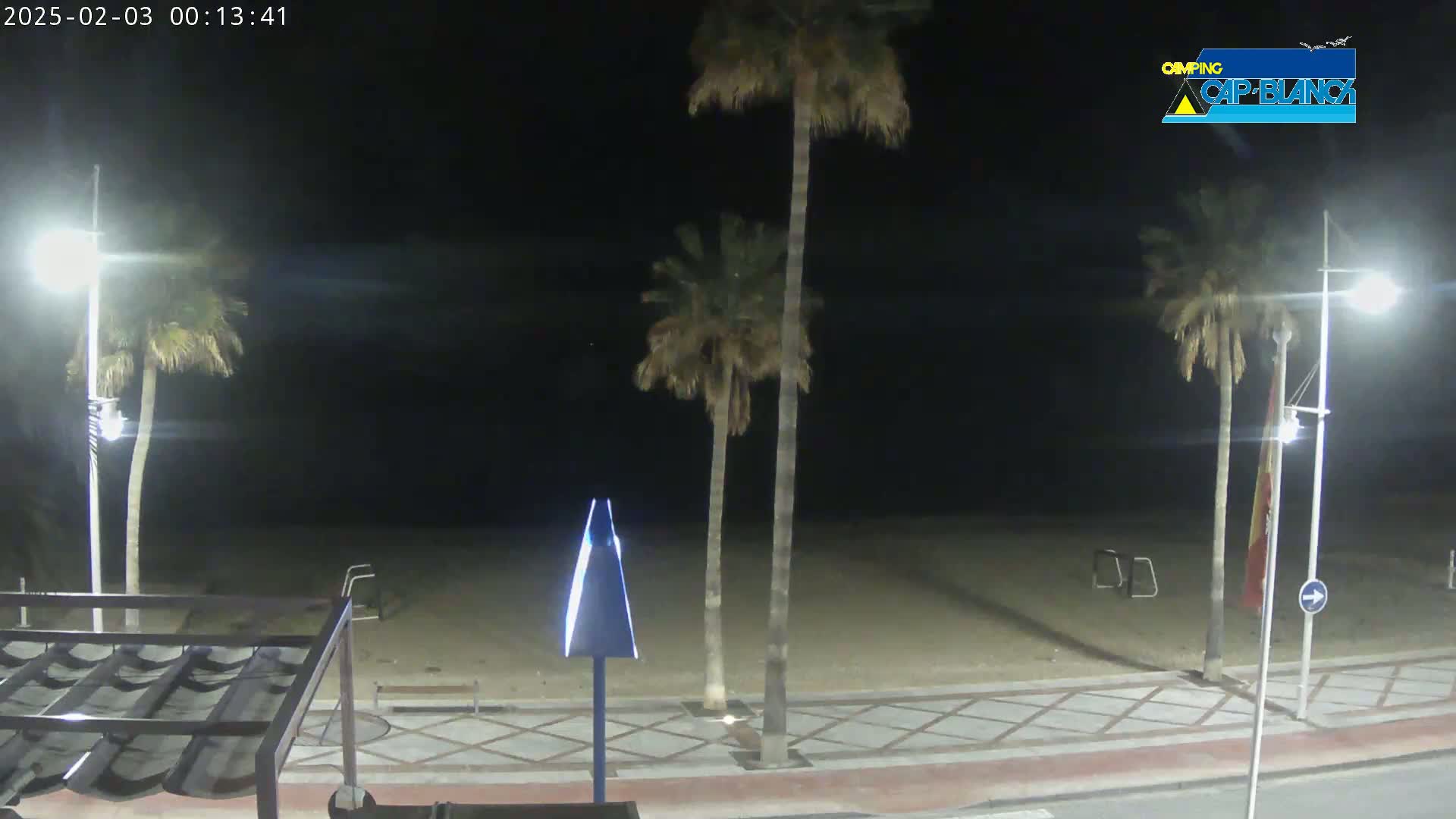 A nighttime view of a sandy beach with palm trees, streetlights, and a paved walkway.