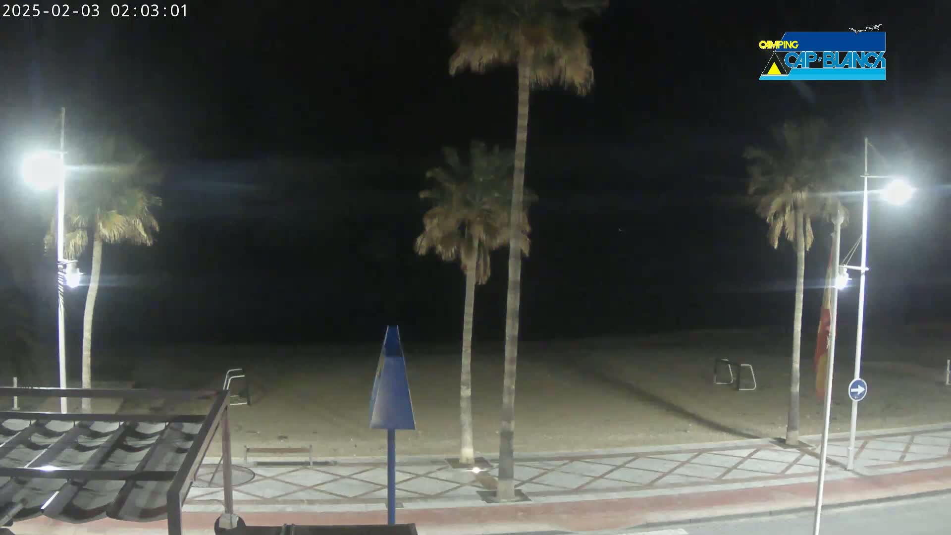 At night, palm trees line a sandy beach under bright streetlights.