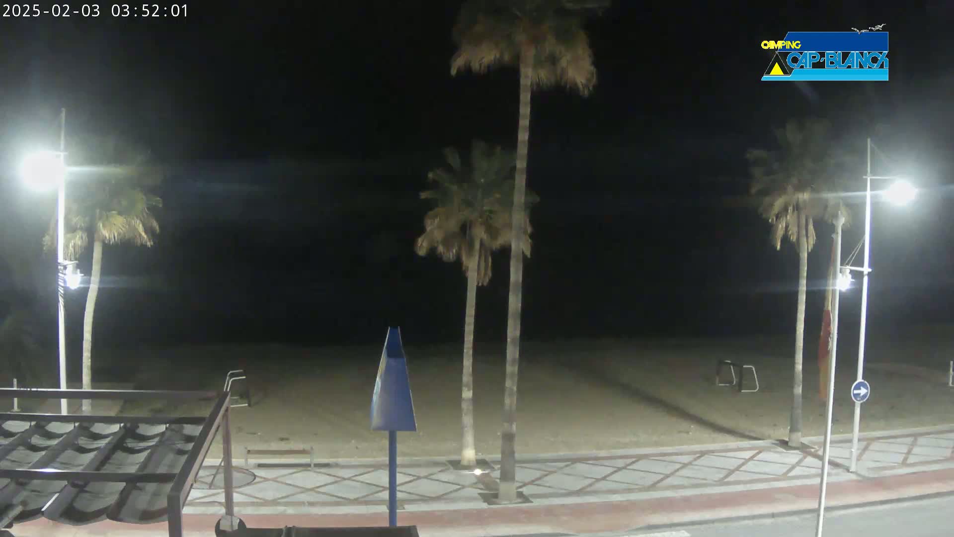 A nighttime view of a sandy beach with palm trees and streetlights, under a clear dark sky.