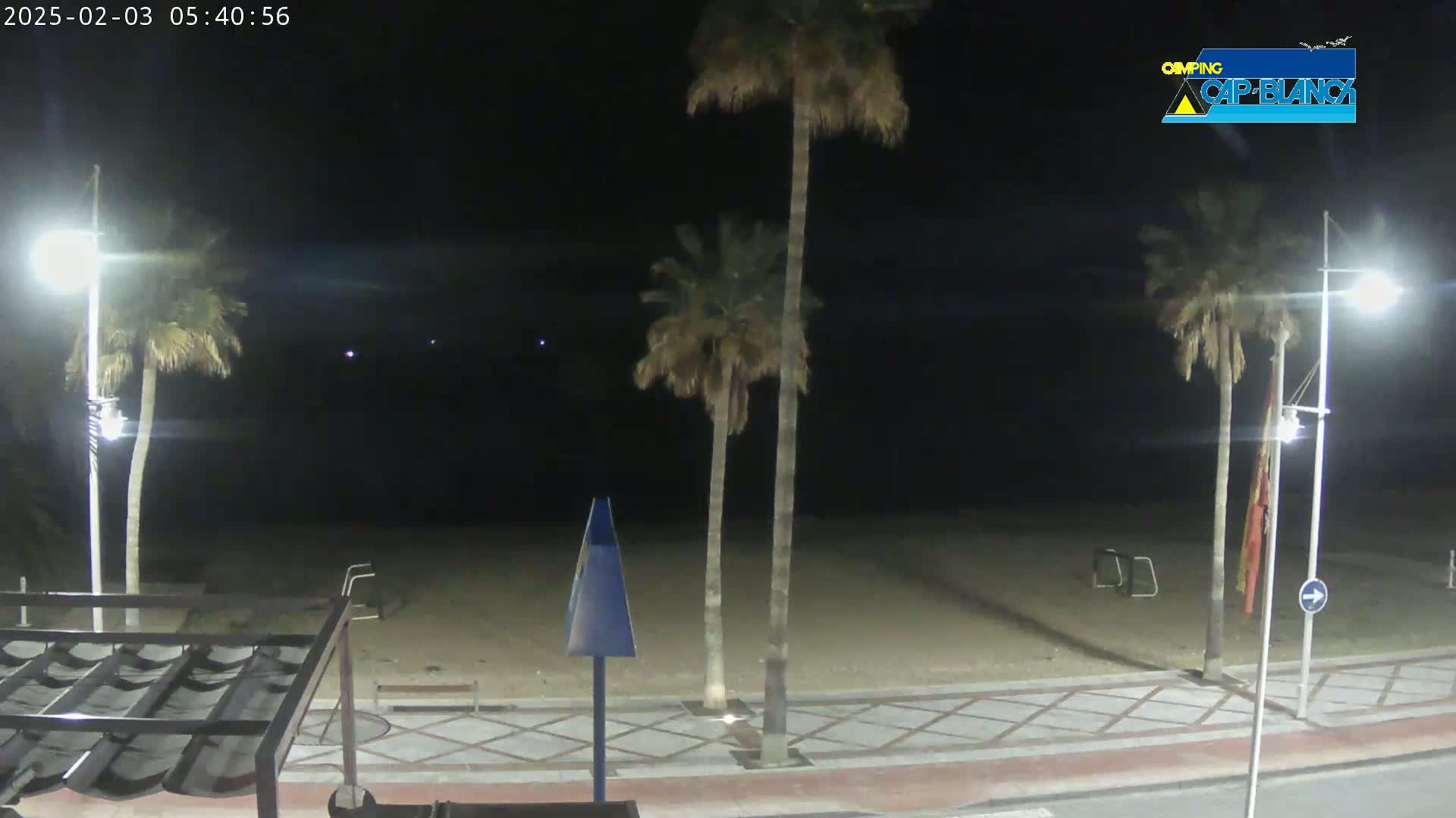 At night, a sandy beach is illuminated by streetlights, with palm trees lining a paved walkway.
