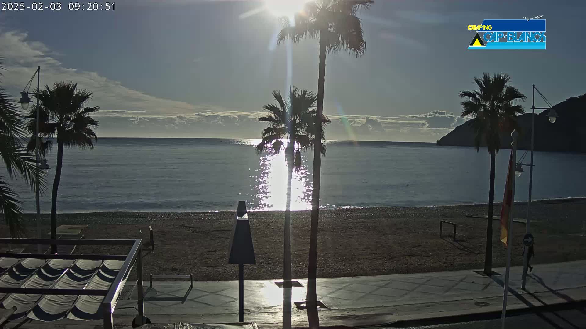 A sandy beach with palm trees is bathed in the sunlight of a calm, clear morning, overlooking a tranquil sea.