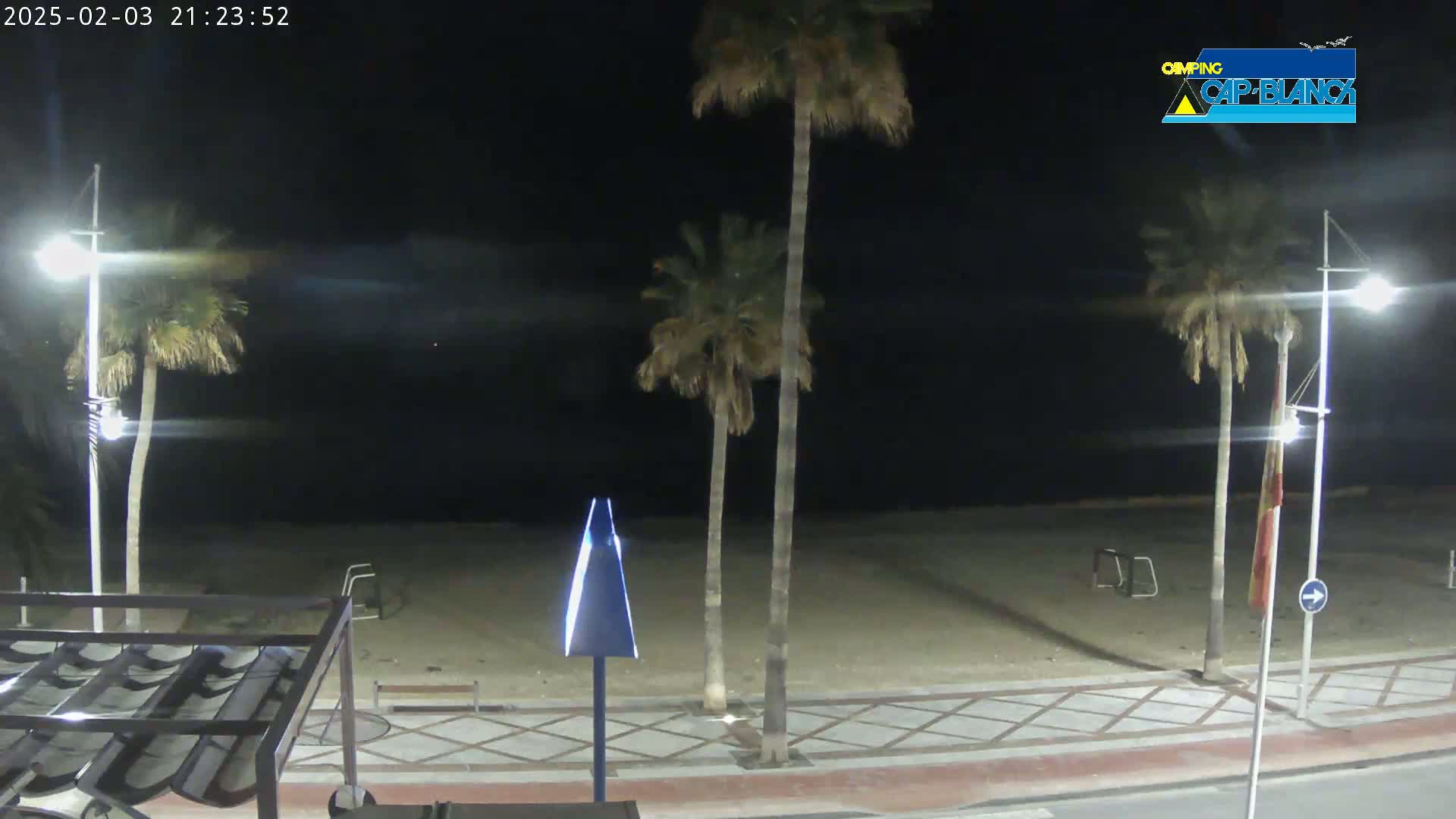 A nighttime view of a sandy beach with palm trees and streetlights, under a clear, dark sky.