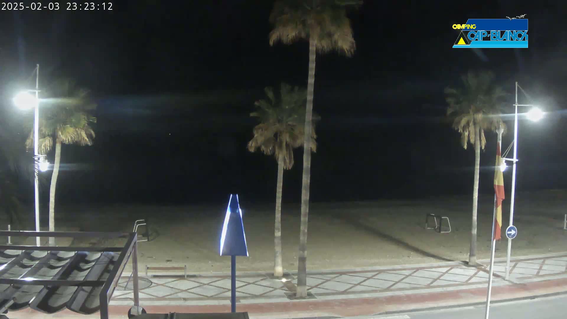 At night, a sandy beach is seen beyond a paved walkway lined with palm trees and streetlights.