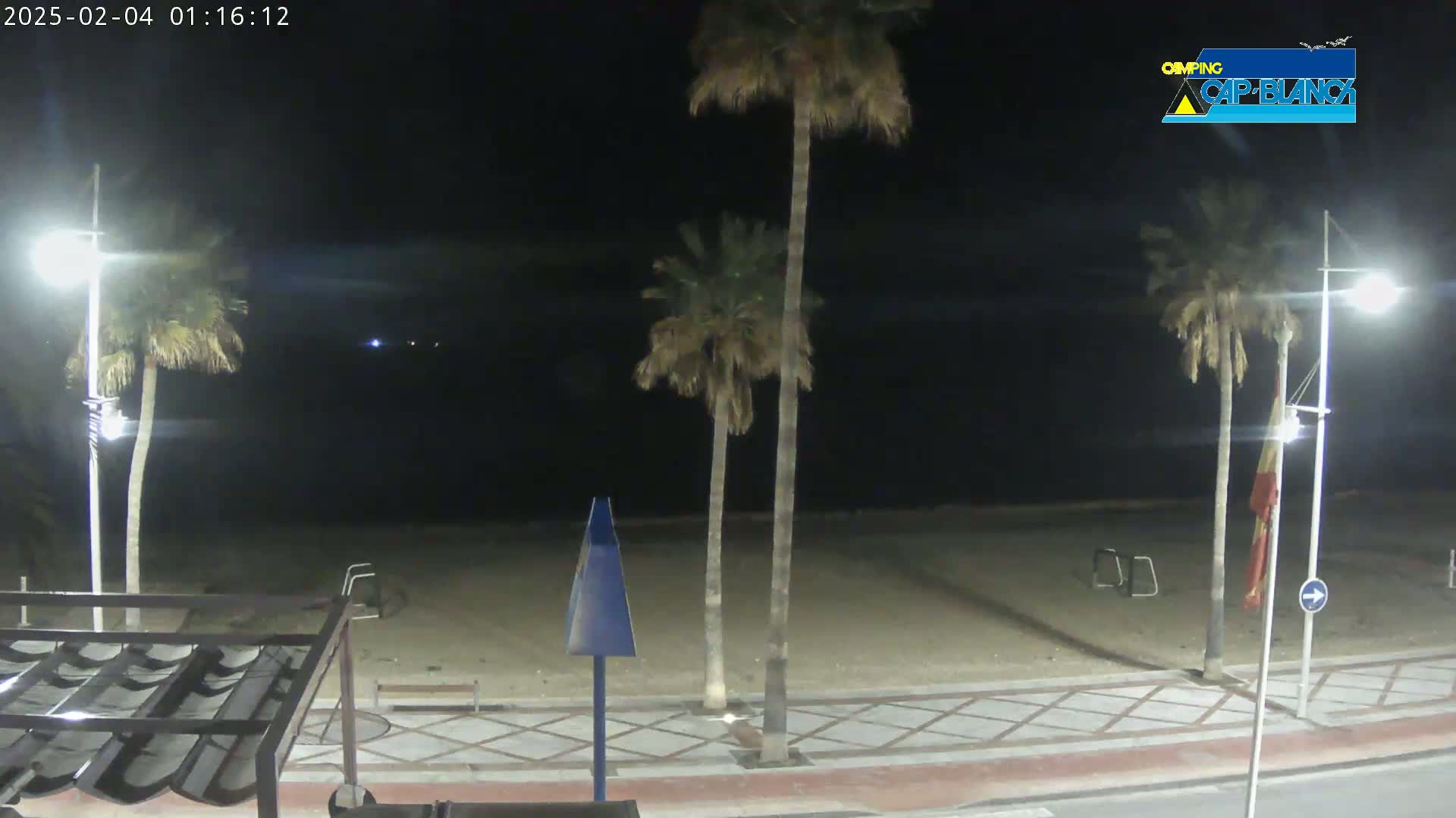 A nighttime view of a sandy beach, palm trees, and streetlights along a paved walkway.