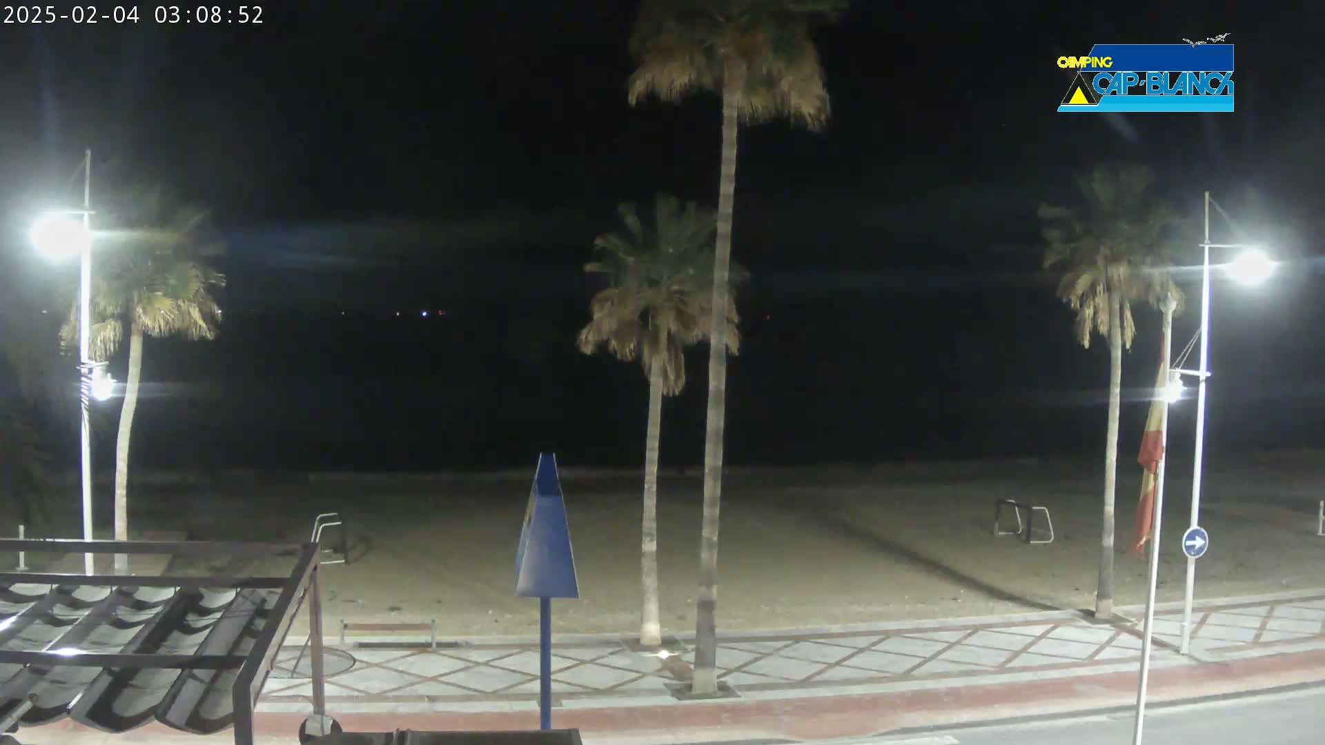 A nighttime view of a sandy beach with palm trees, streetlights, and a paved walkway under a clear, dark sky.