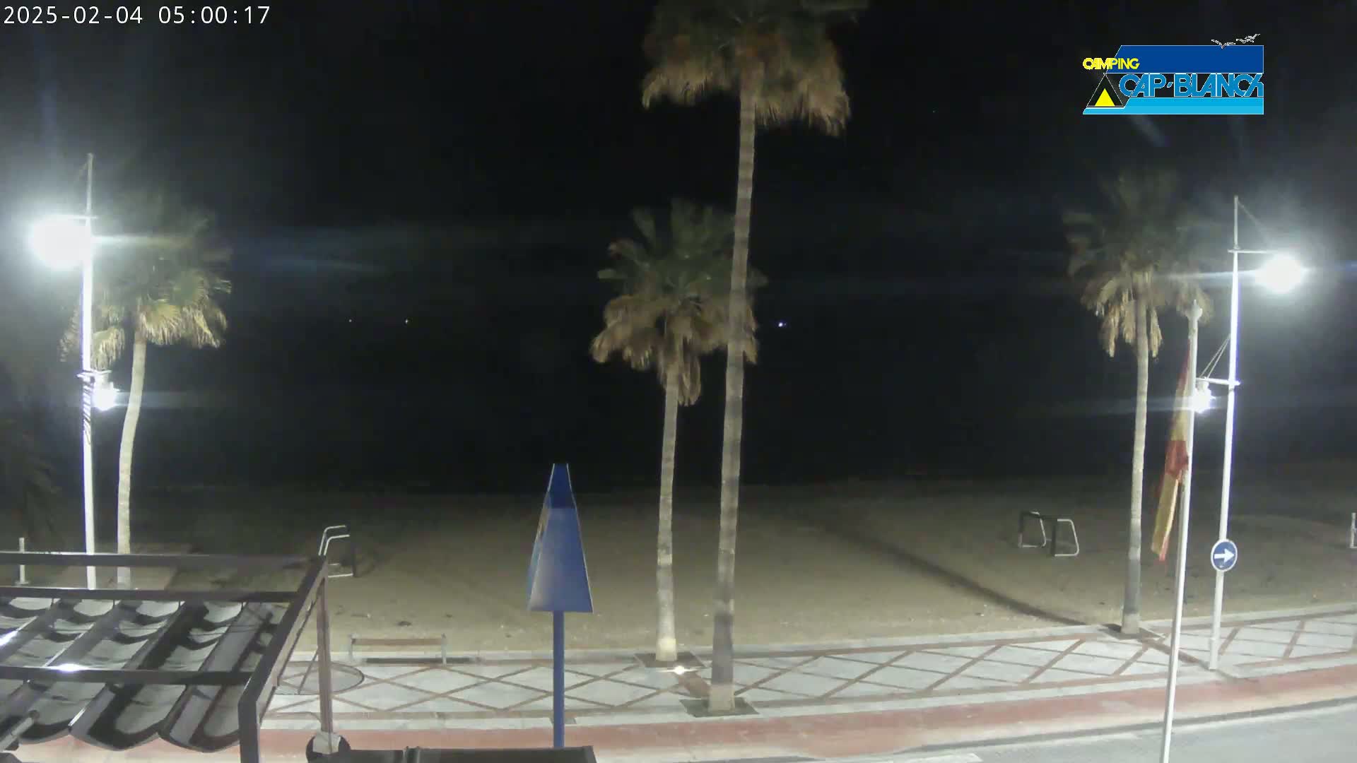 A nighttime view of a sandy beach, palm trees, and streetlights along a paved walkway.