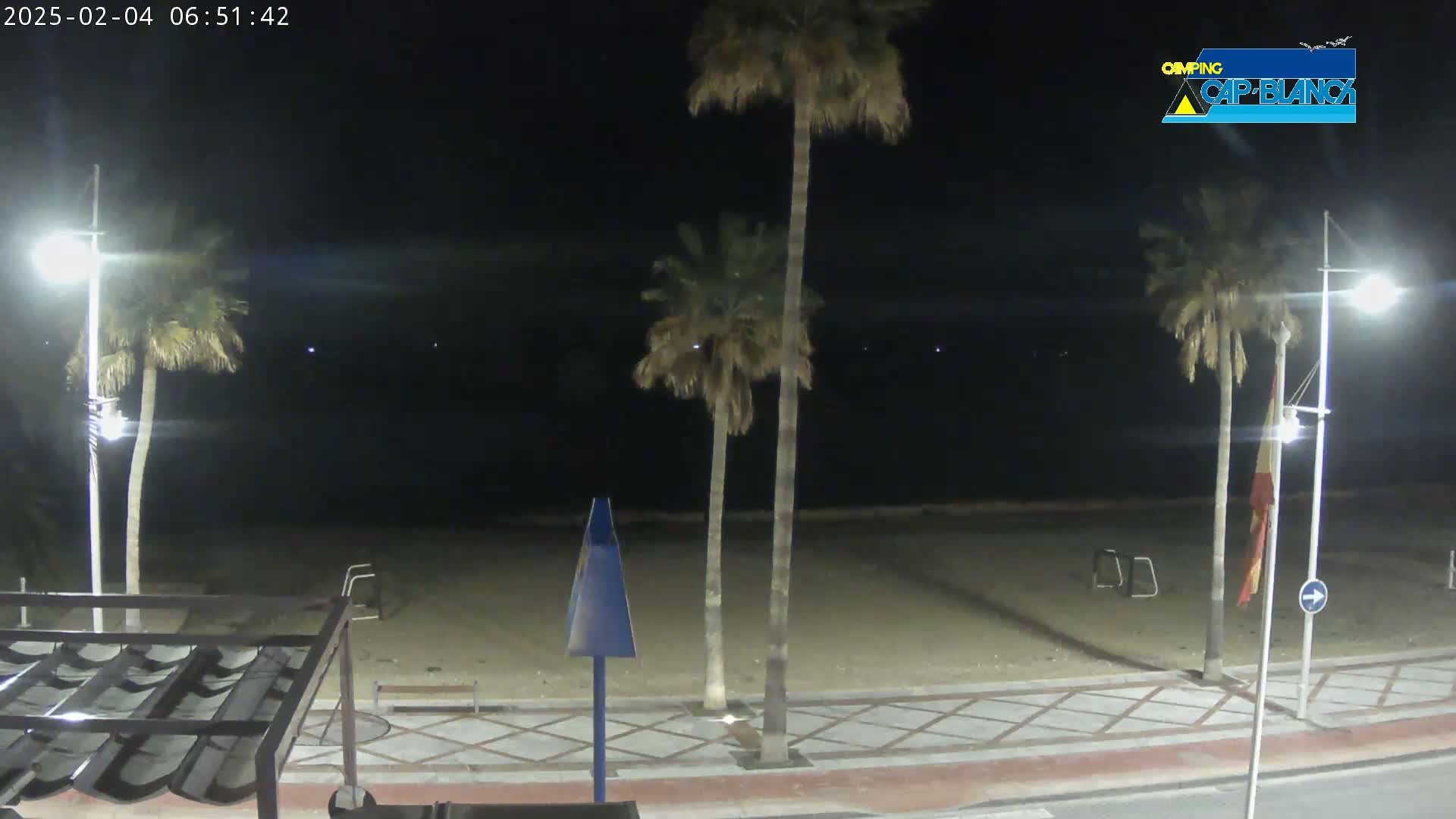 A nighttime view of a sandy beach bordered by palm trees and a paved walkway, under a clear, dark sky.