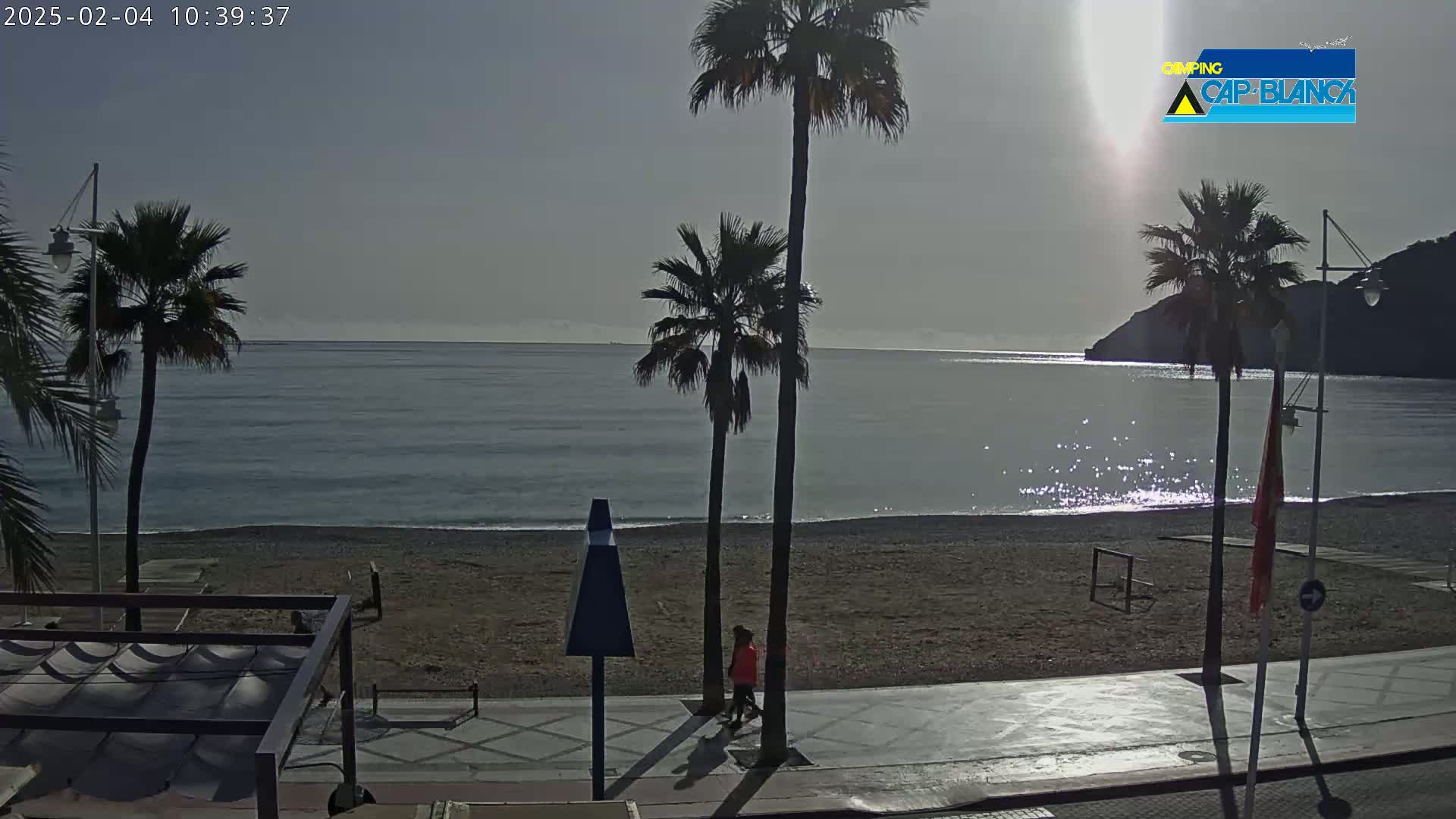 A mostly sunny beach scene shows palm trees lining a paved walkway next to a sandy beach and calm ocean.