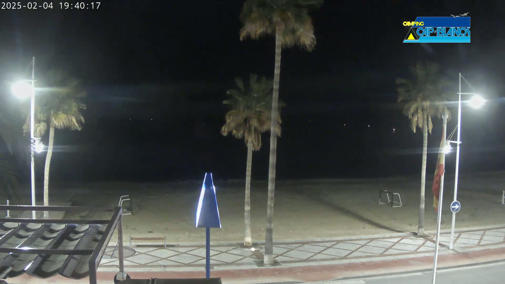 A nighttime view of a sandy beach, palm trees, and streetlights along a paved walkway.
