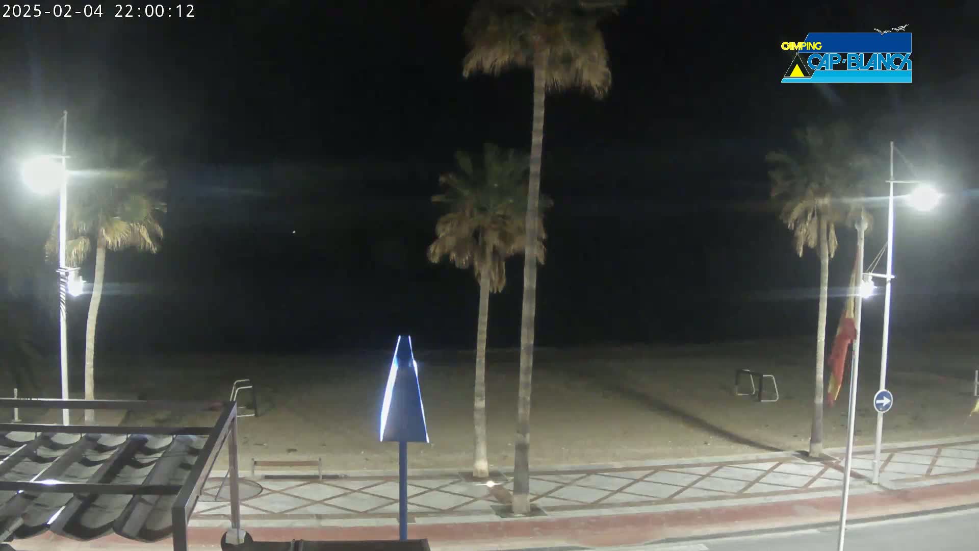 A nighttime view of a sandy beach with palm trees, streetlights, and a walkway, under a clear, dark sky.