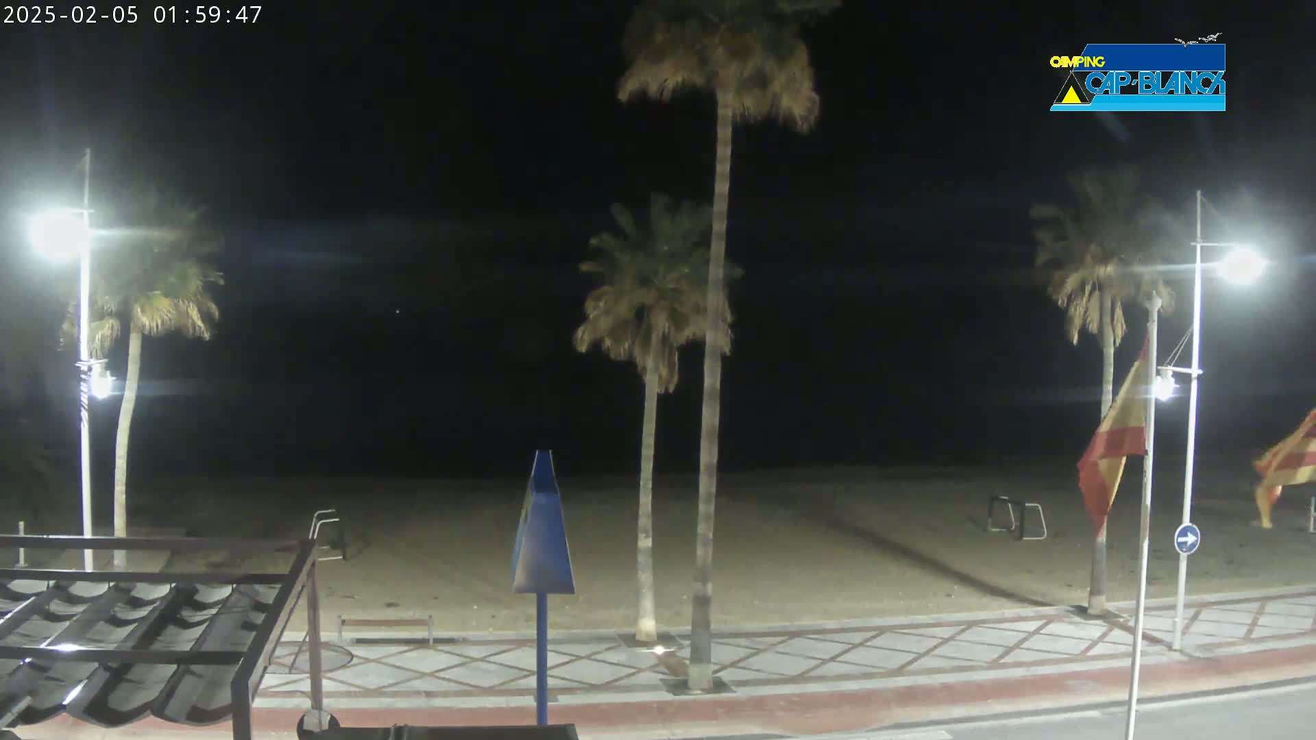 A nighttime view of a beach, with palm trees, streetlights, and flags illuminated against a dark sky.