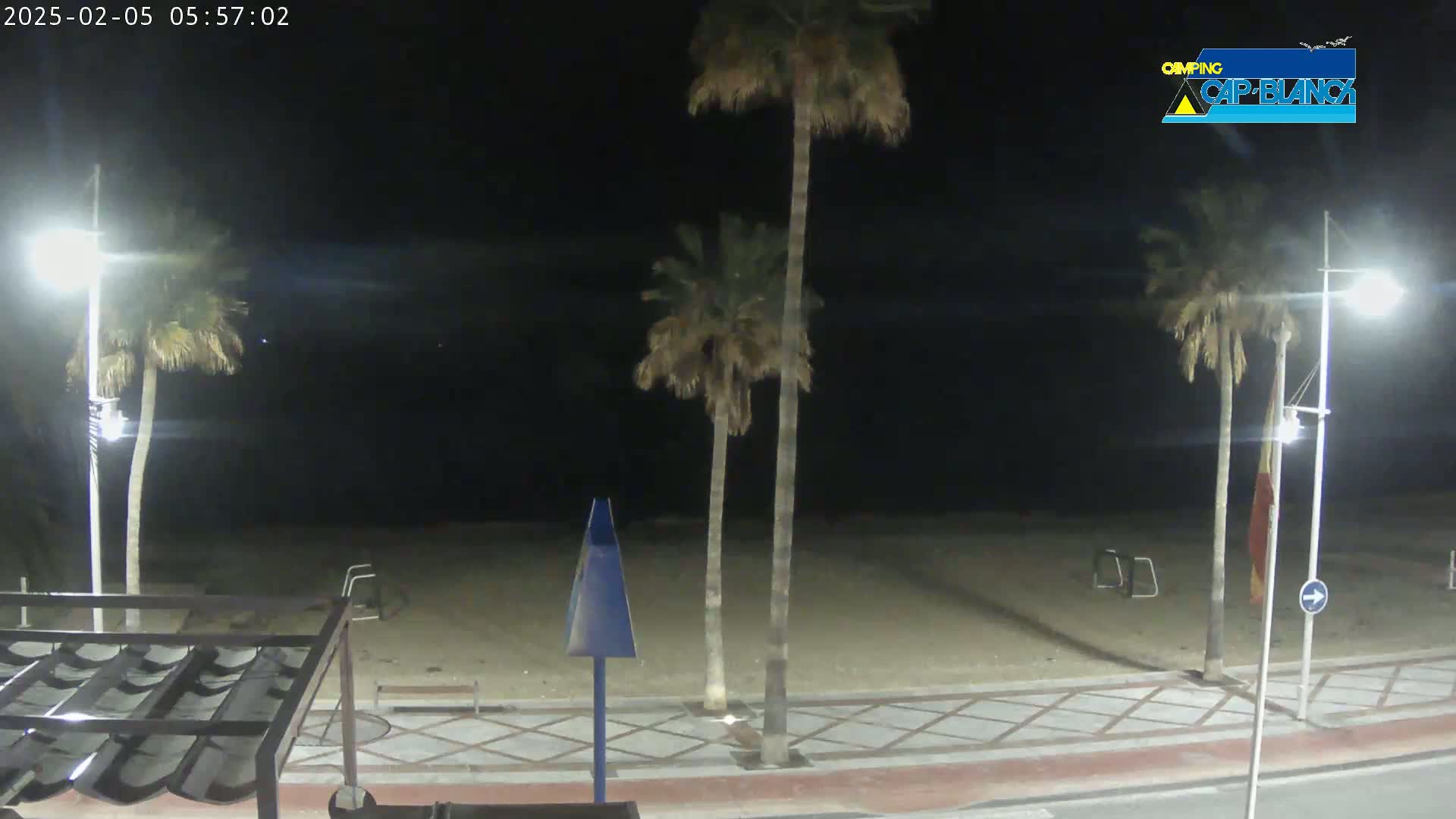 A nighttime view of a sandy beach with palm trees, streetlights, and a paved walkway.