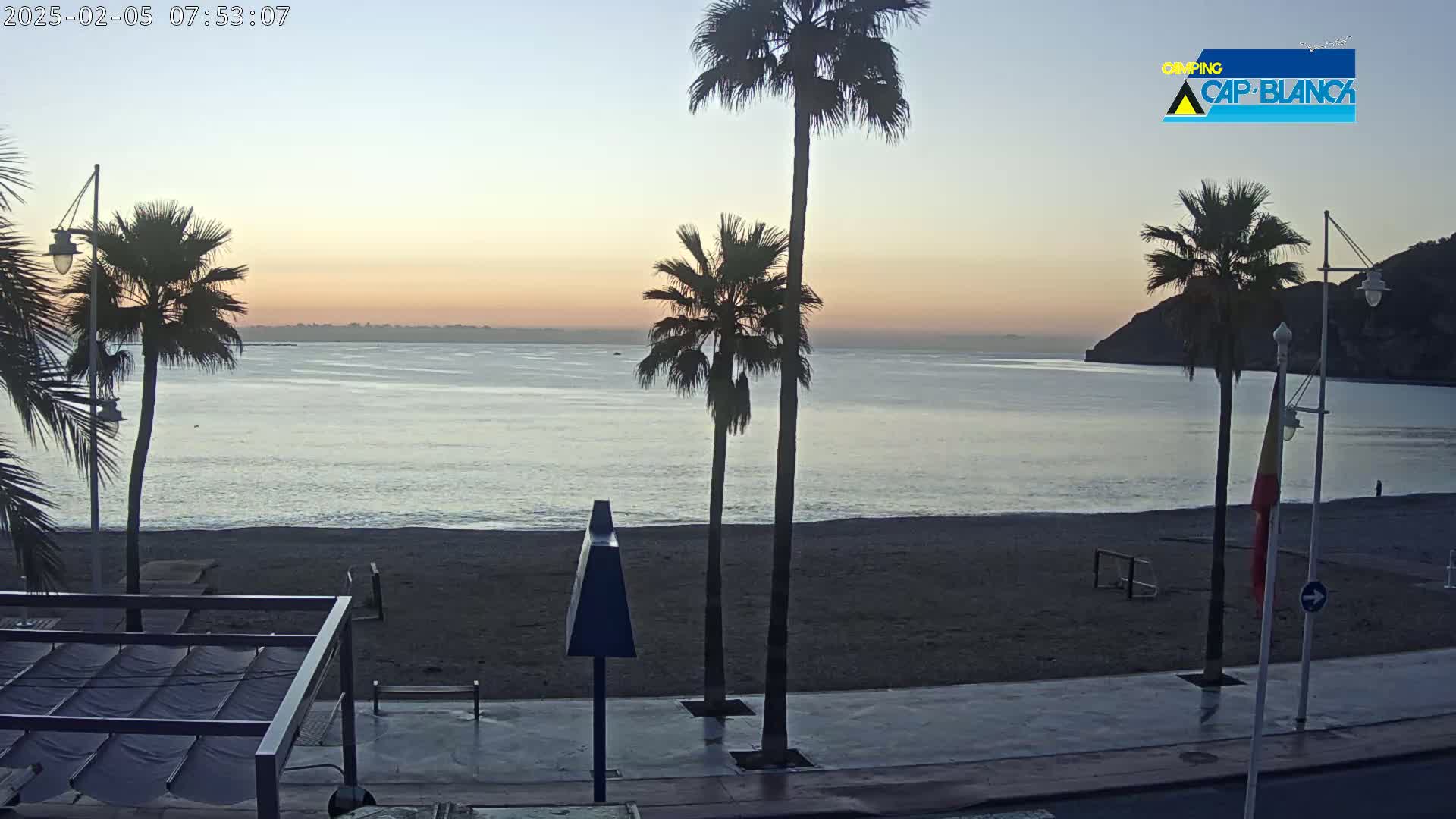 A calm, pale sunrise illuminates a beach with palm trees, a promenade, and a distant hill.