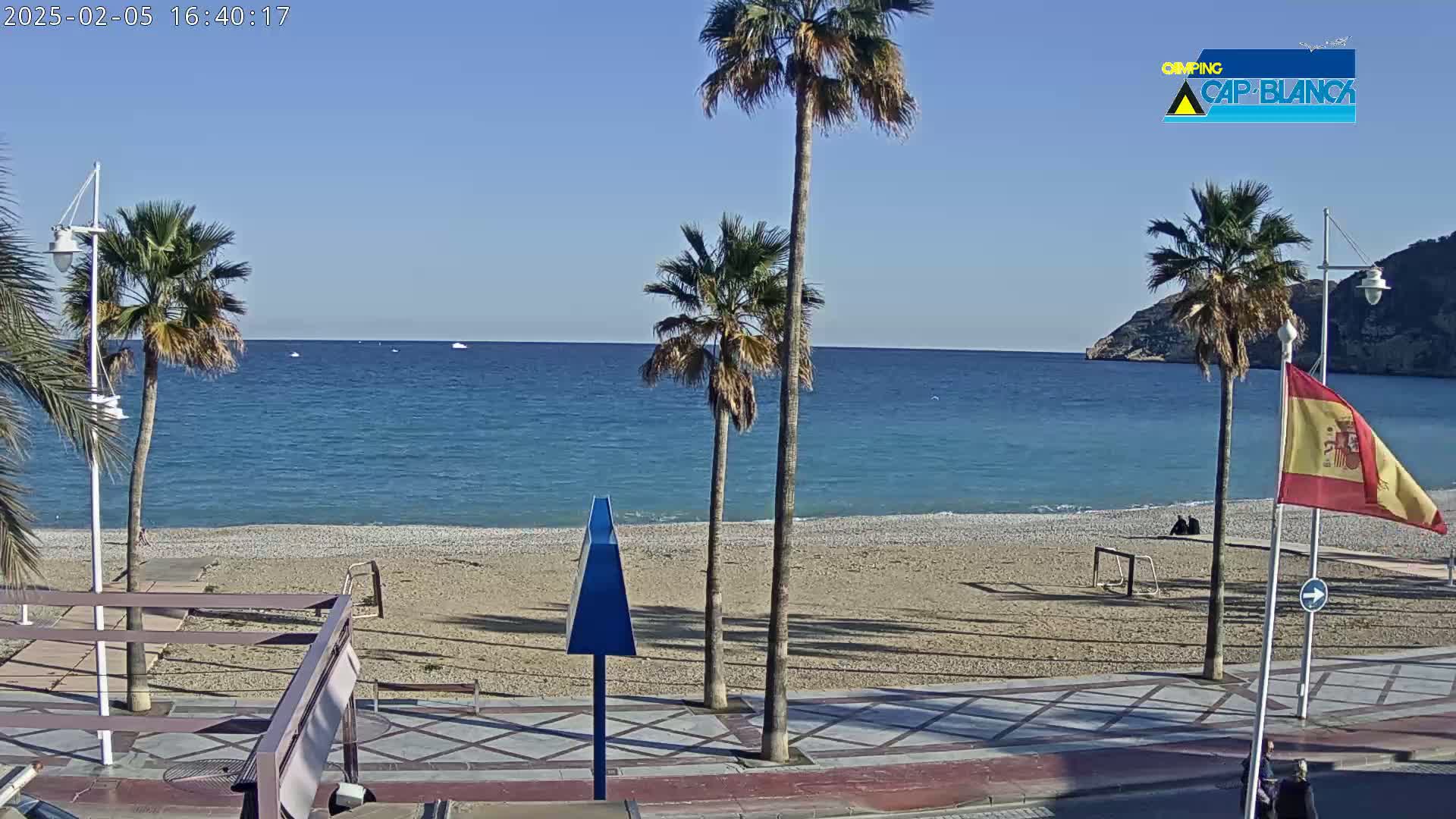 A sandy beach with palm trees and a calm blue ocean under a clear sky is seen from a paved walkway.