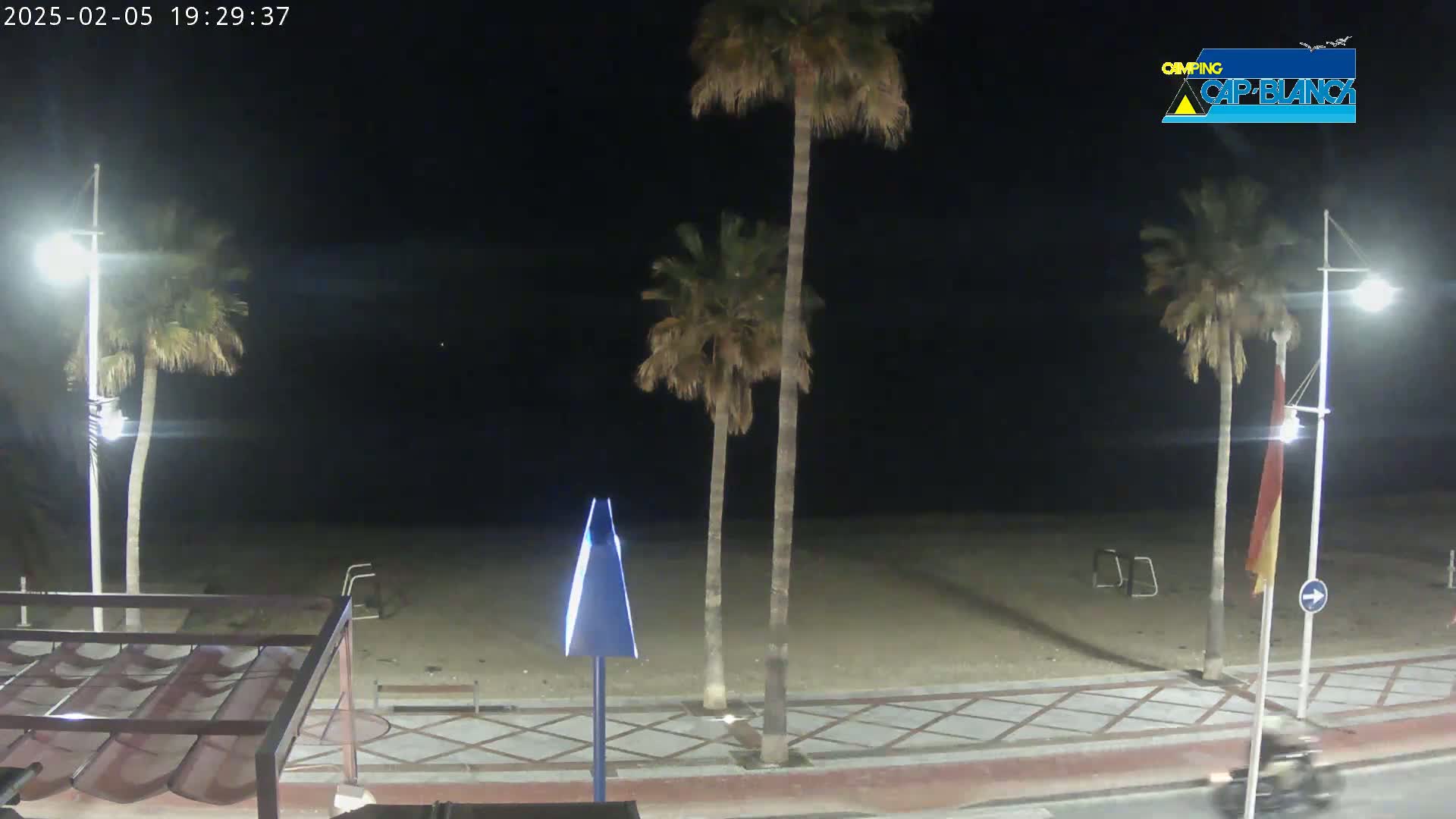 A nighttime view of a sandy beach with palm trees, streetlights, and a paved walkway.