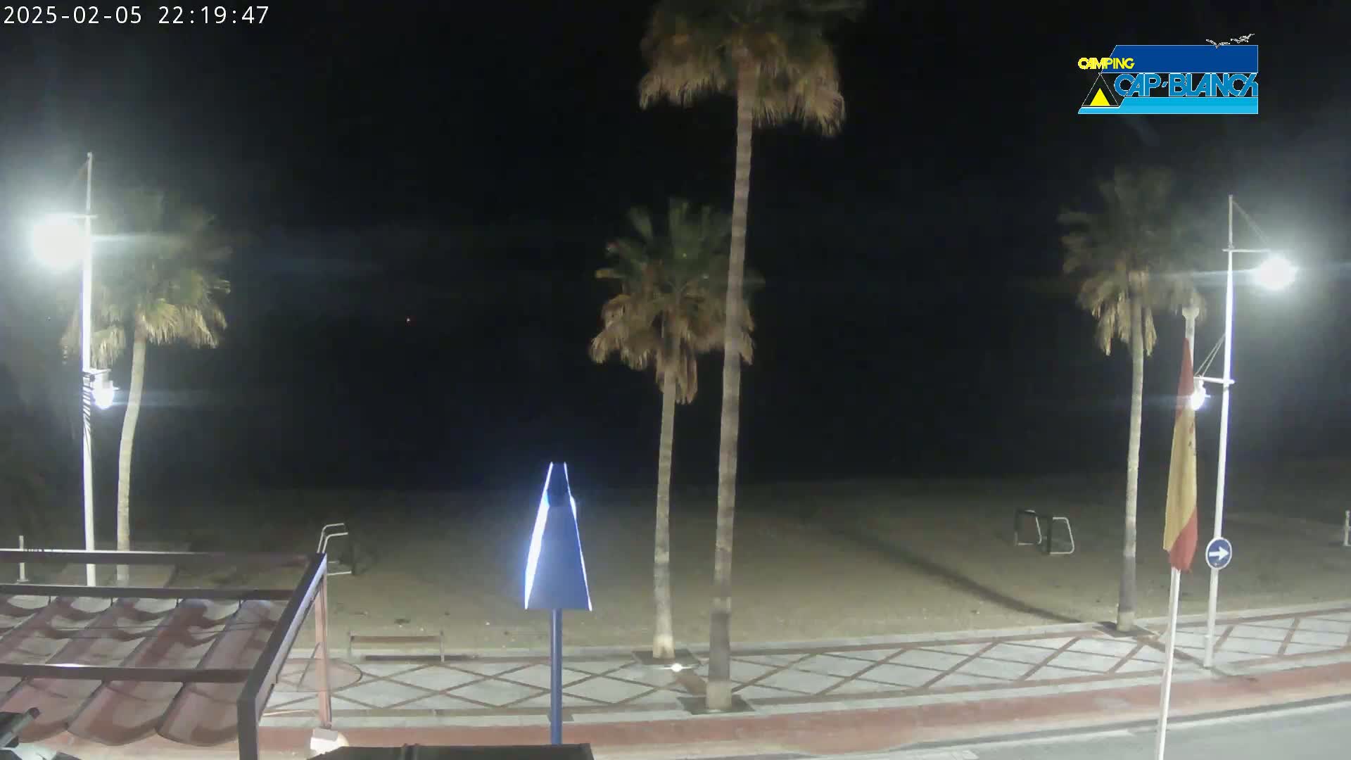 A nighttime view of a sandy beach with palm trees, streetlights, and a paved walkway.