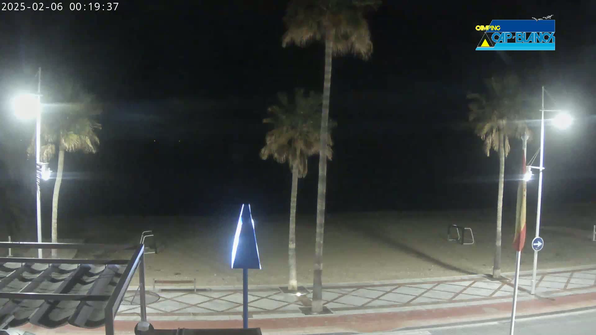 A nighttime view of a sandy beach, palm trees, and streetlights along a paved walkway.