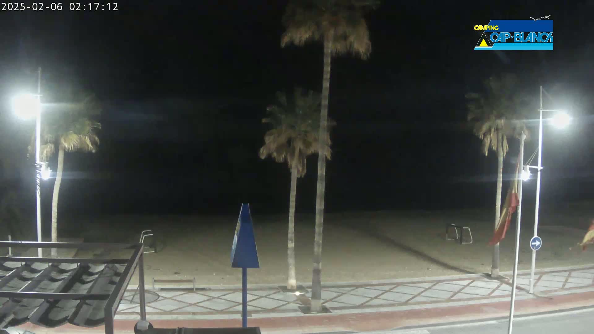 A nighttime view of a sandy beach, palm trees, and streetlights along a paved walkway.
