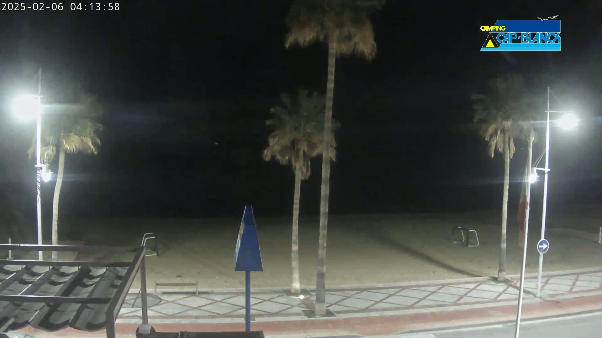 A nighttime beach scene shows palm trees lining a paved walkway next to a sandy beach under a dark sky.