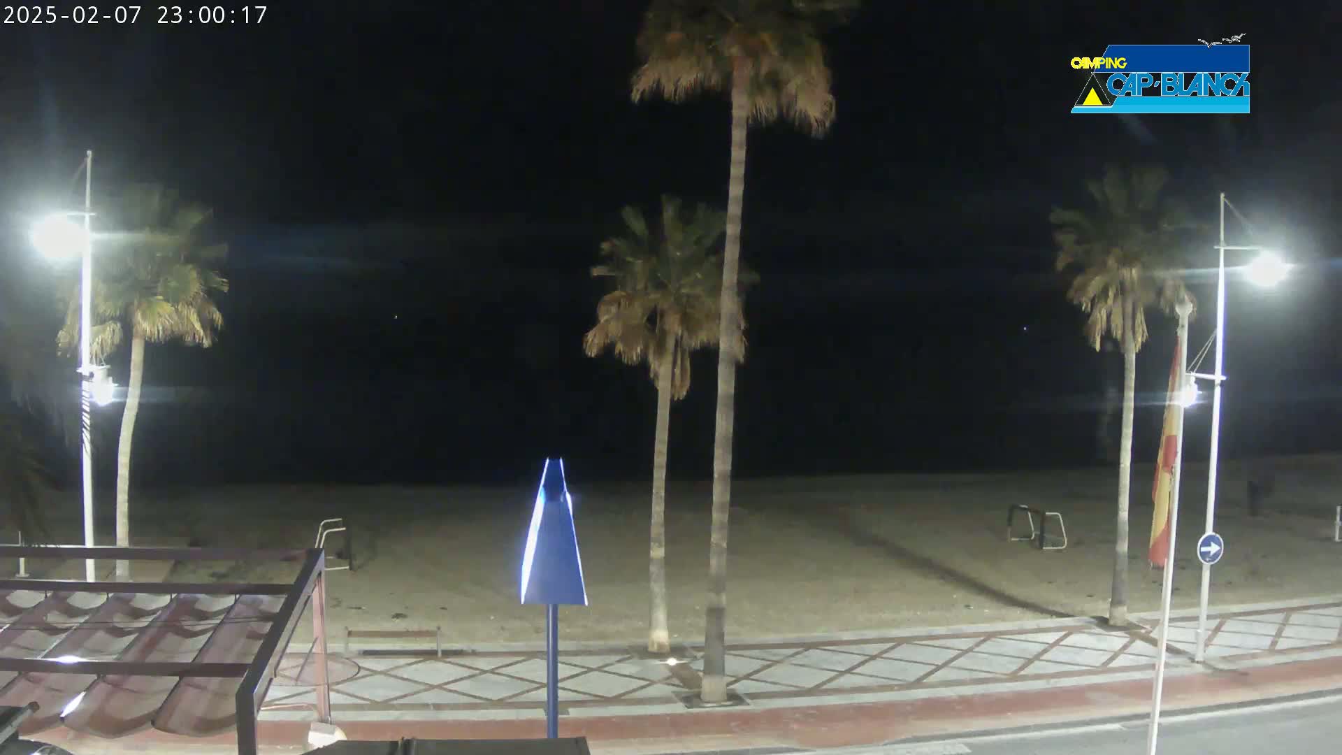 A nighttime view of a sandy beach, palm trees, and streetlights along a paved walkway.