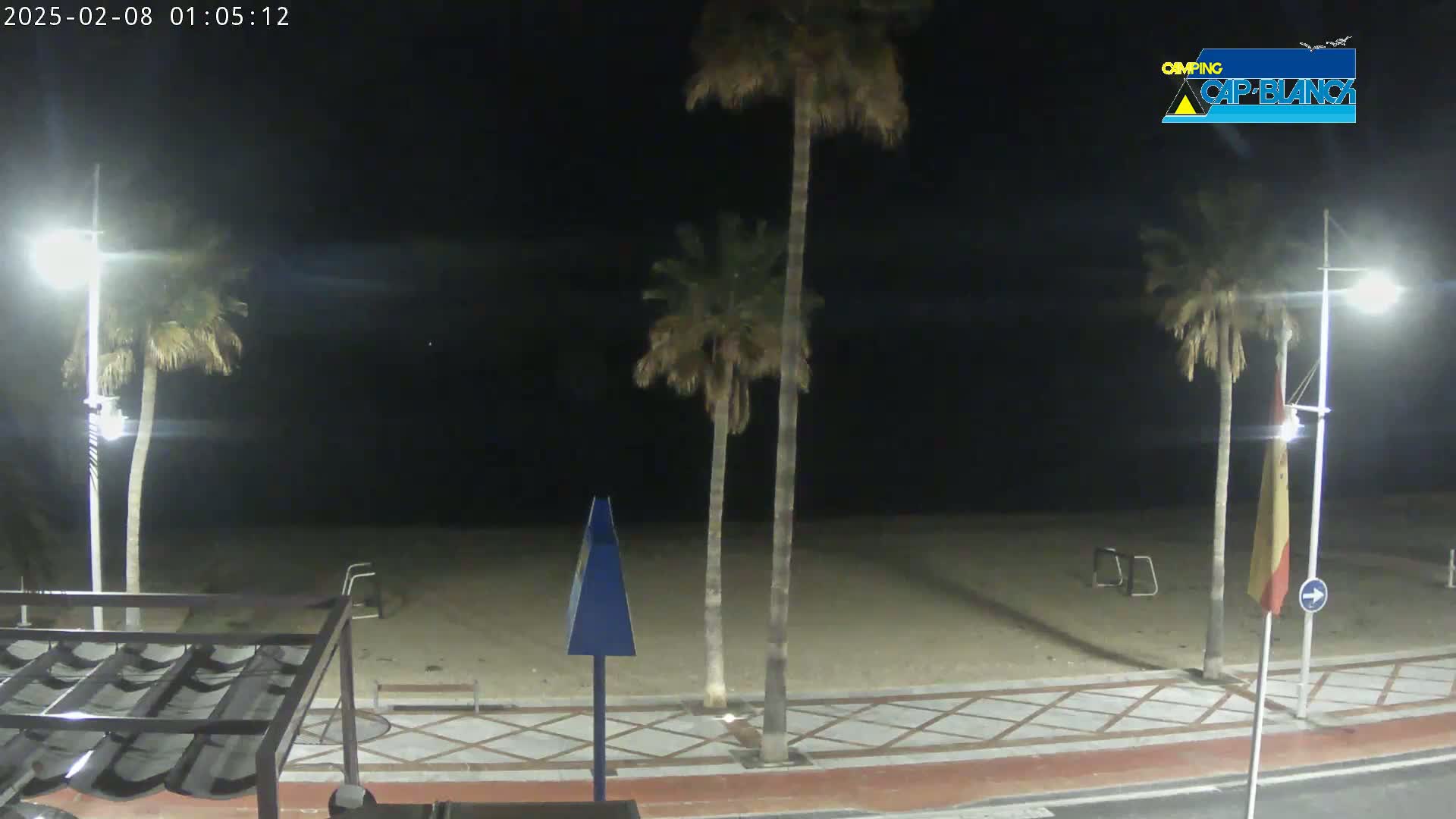 A nighttime view of a sandy beach with palm trees, streetlights, and a paved walkway.